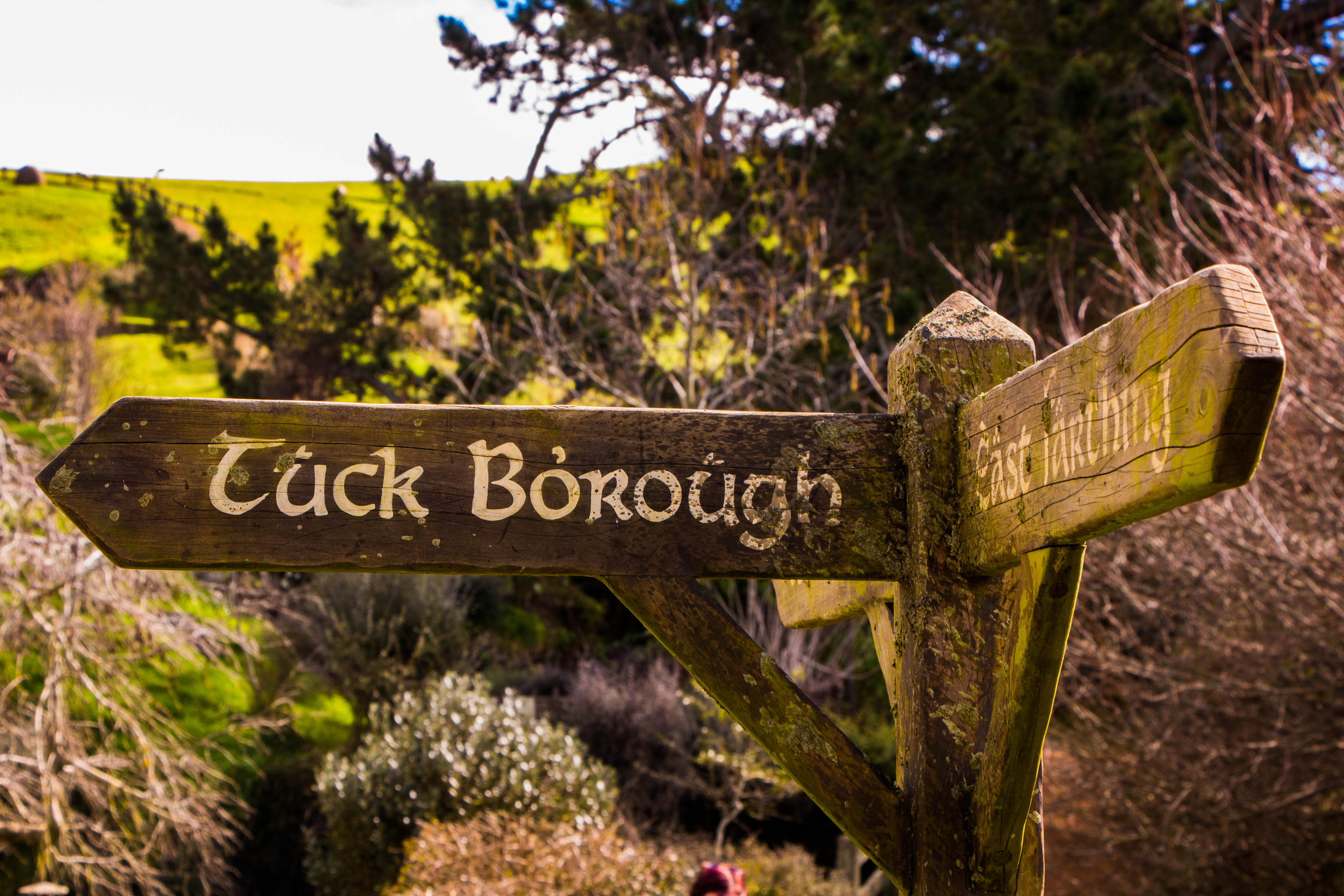 nouvelle-zelande, matamata, seigneur des anneaux, hobbit, lieu de tournage, comté