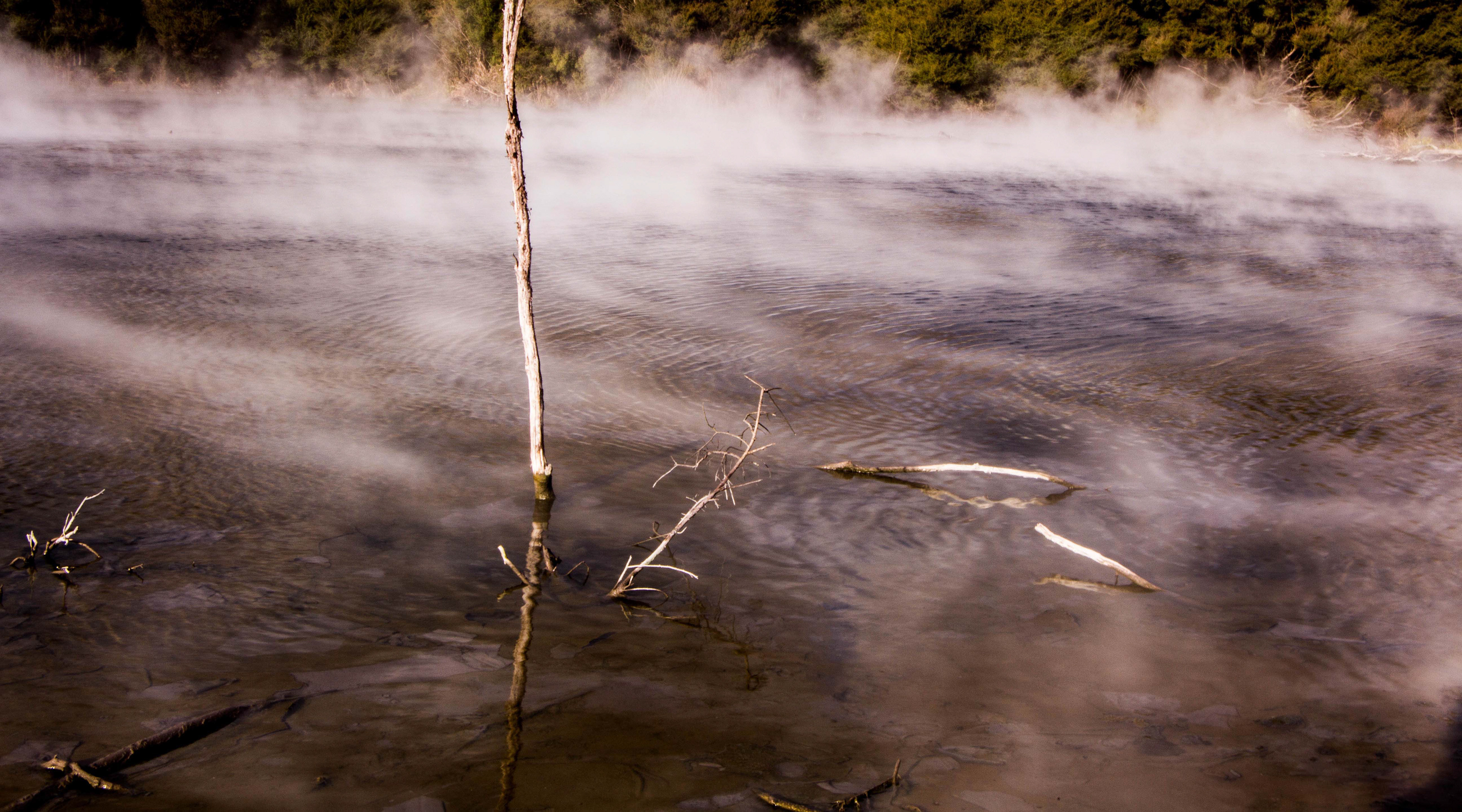 Kuirau park, rotorua, nouvelle zélande, activité géothermique