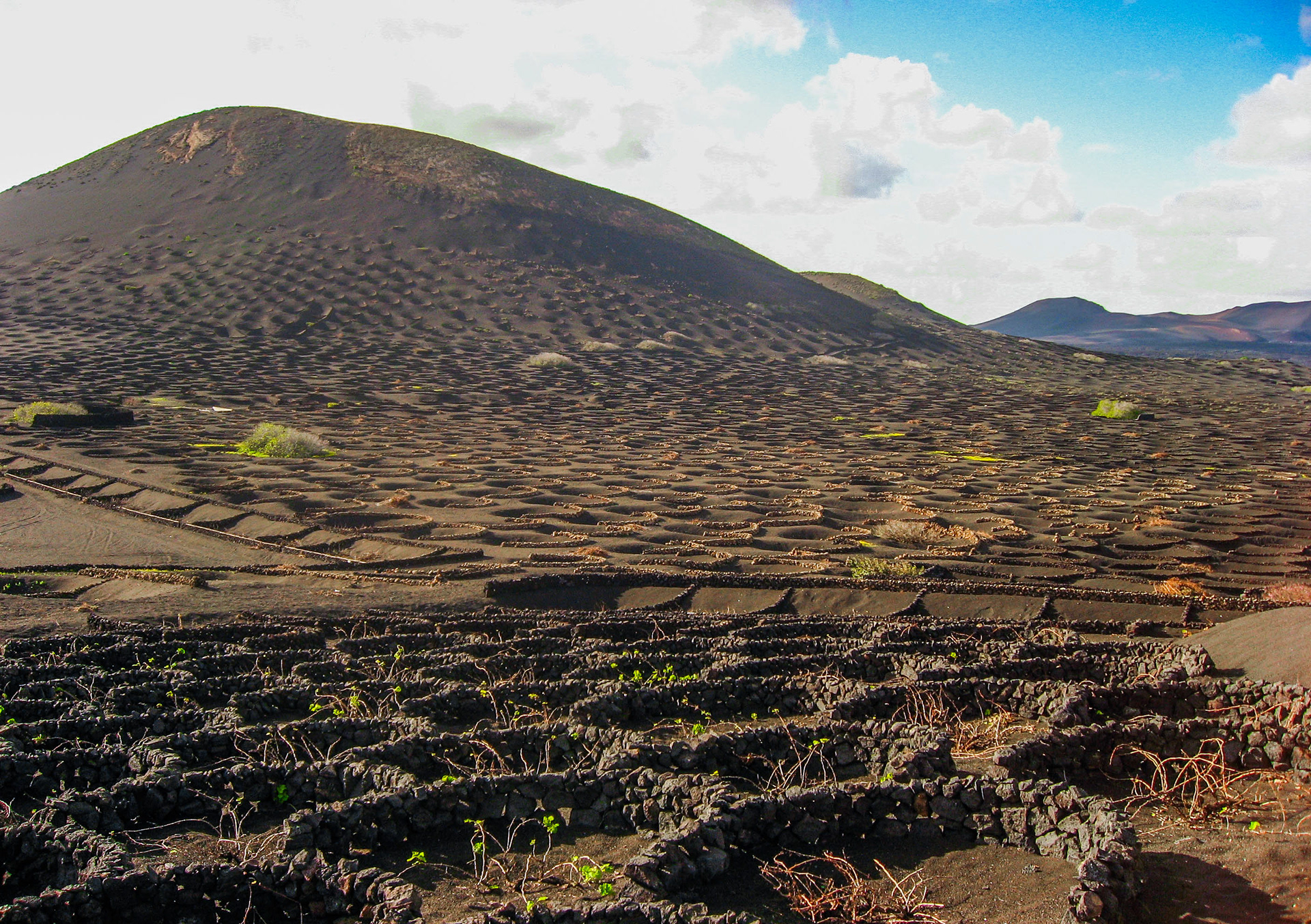 vignoble de La Geria, lanzarote, îles canaries