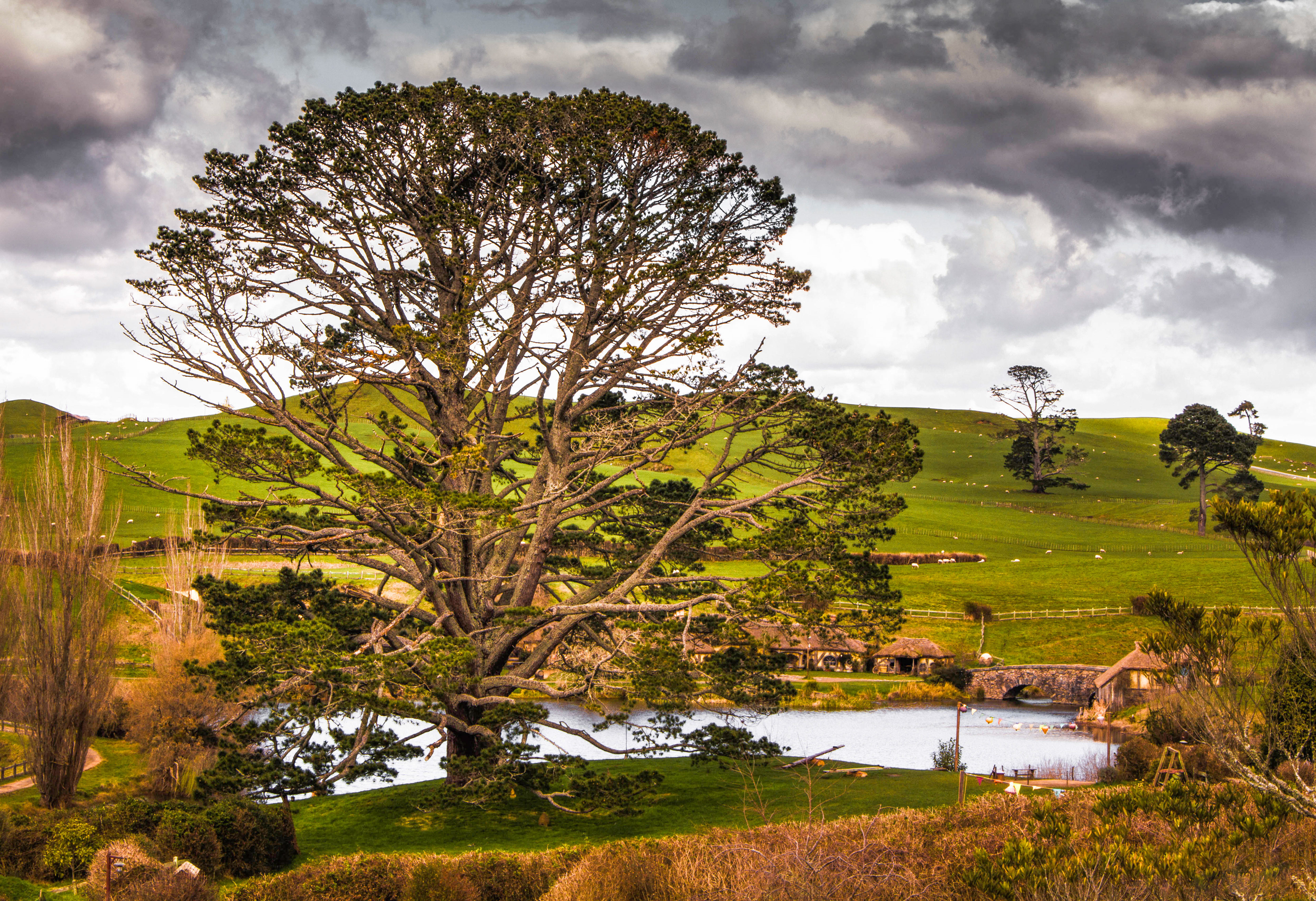 nouvelle-zelande, matamata, seigneur des anneaux, hobbit, lieu de tournage, comté