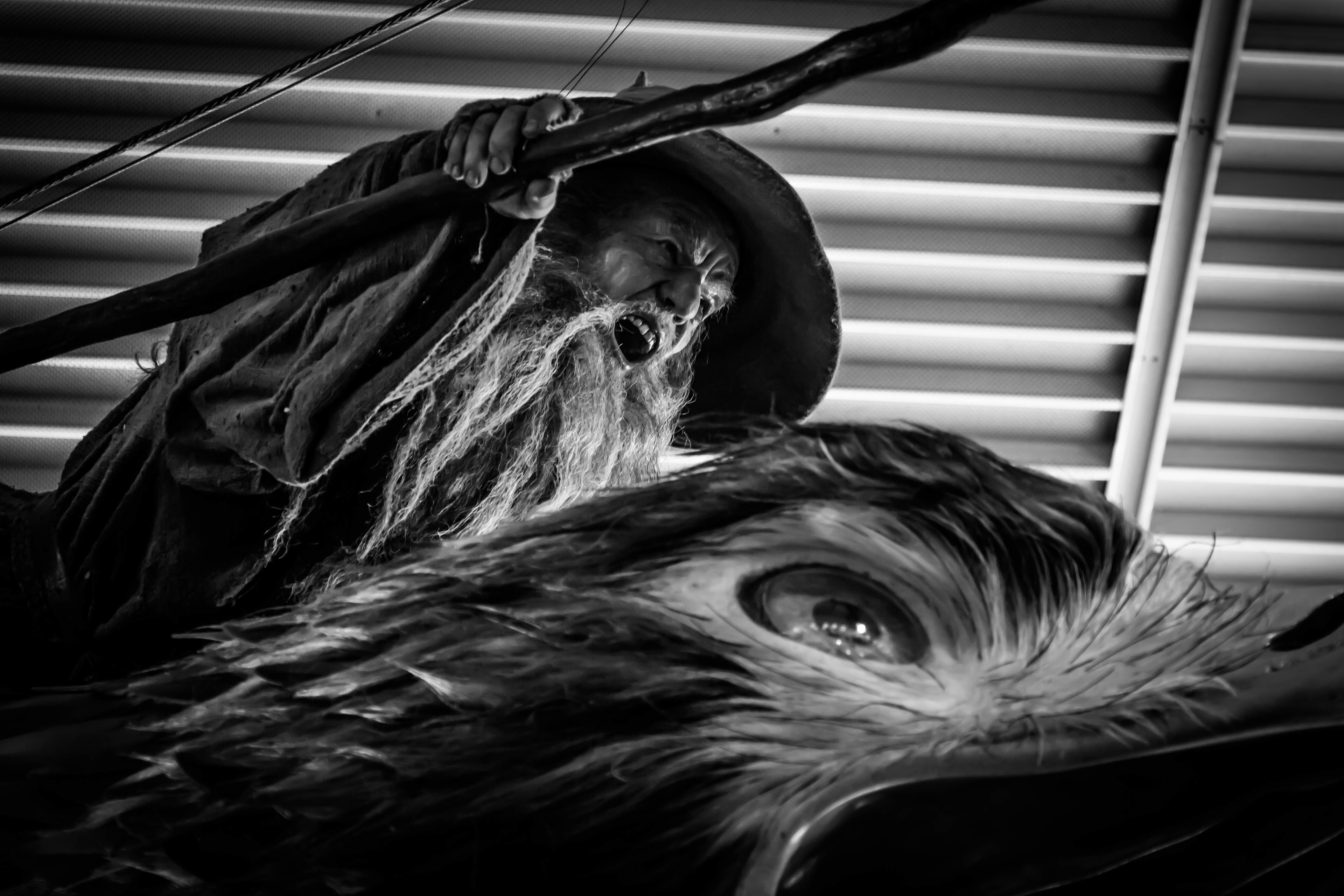 aéroport, nouvelle-zélande, wellington, lord of the rings, gandalf, aigle