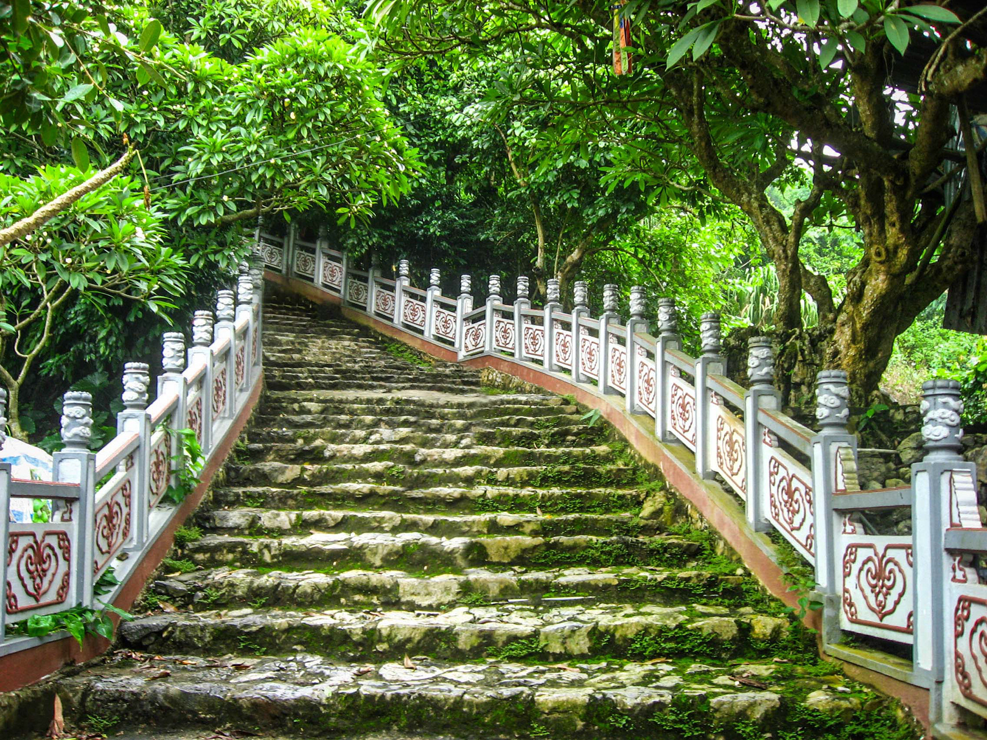 Pagode des parfums, Chùa Hương, Hương Sơn, montagne du parfum, escalier, sentier, frangipanier