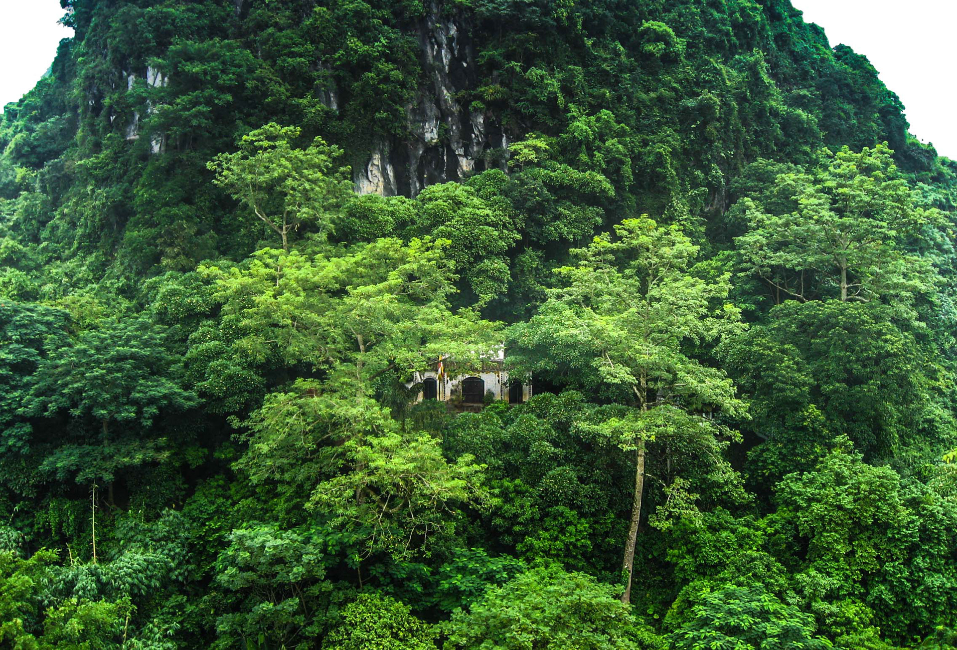 Pagode des parfums, Chùa Hương, Hương Sơn, montagne du parfum, escalier, sentier, frangipanier, pagode