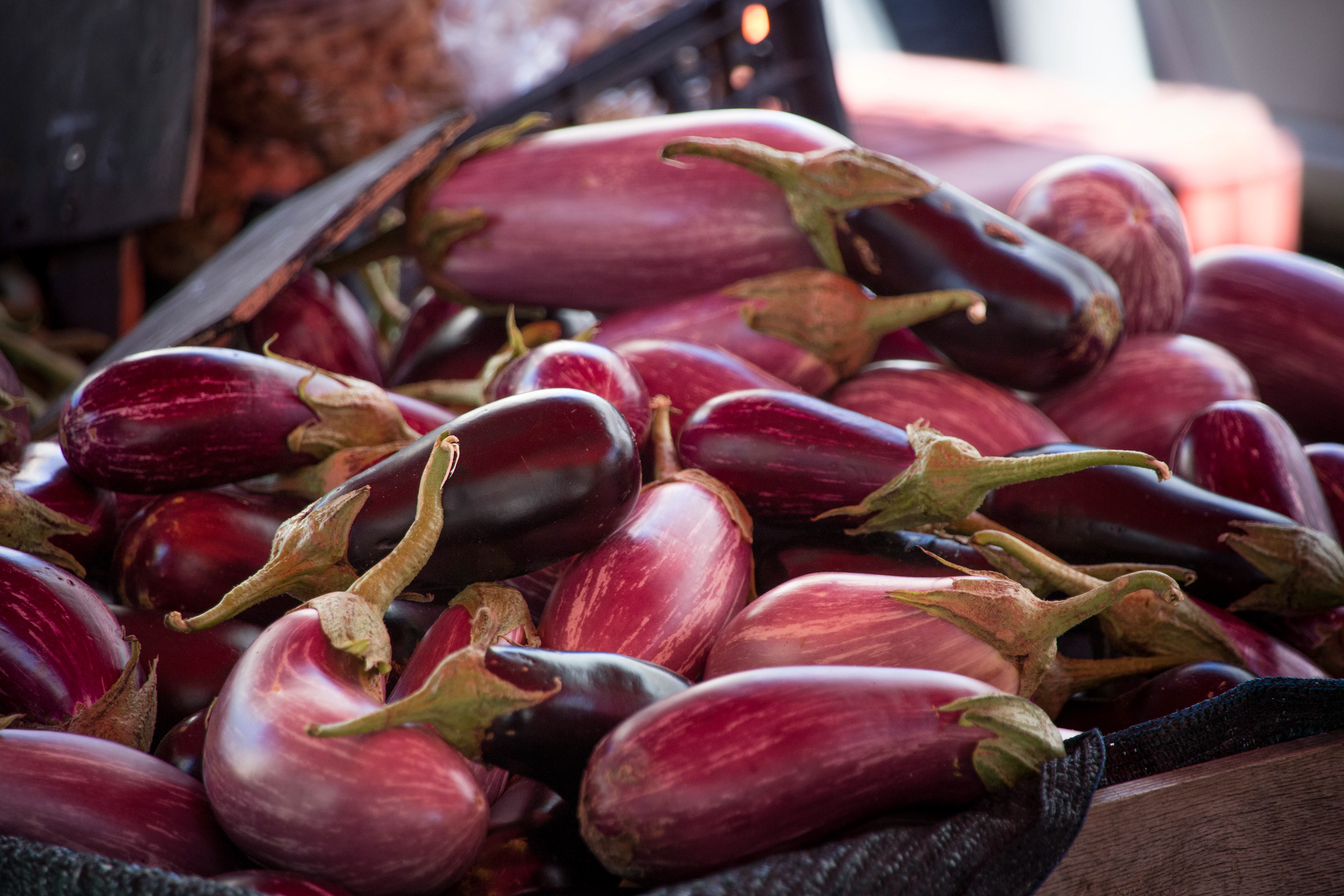 aubergine, marché, crete