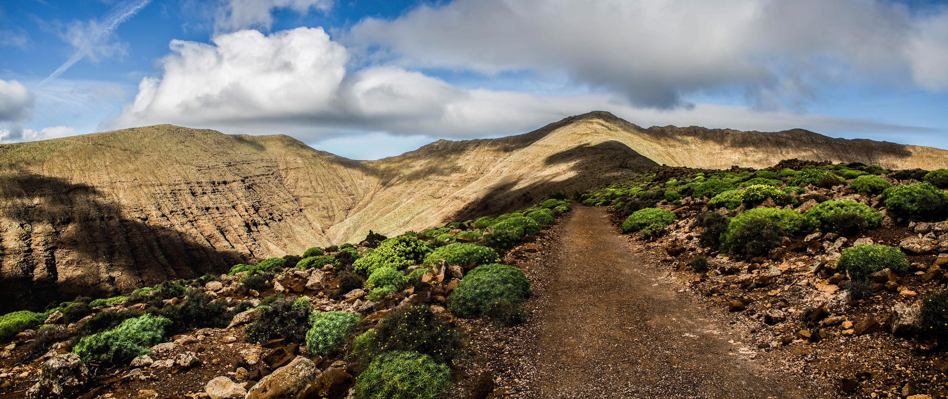 pic de zarza, oreille de l'âne, randonnée, parc naturel de jandia, biodiversité, fuerteventura, randonnée, sentier, euphorbe du roi Juba