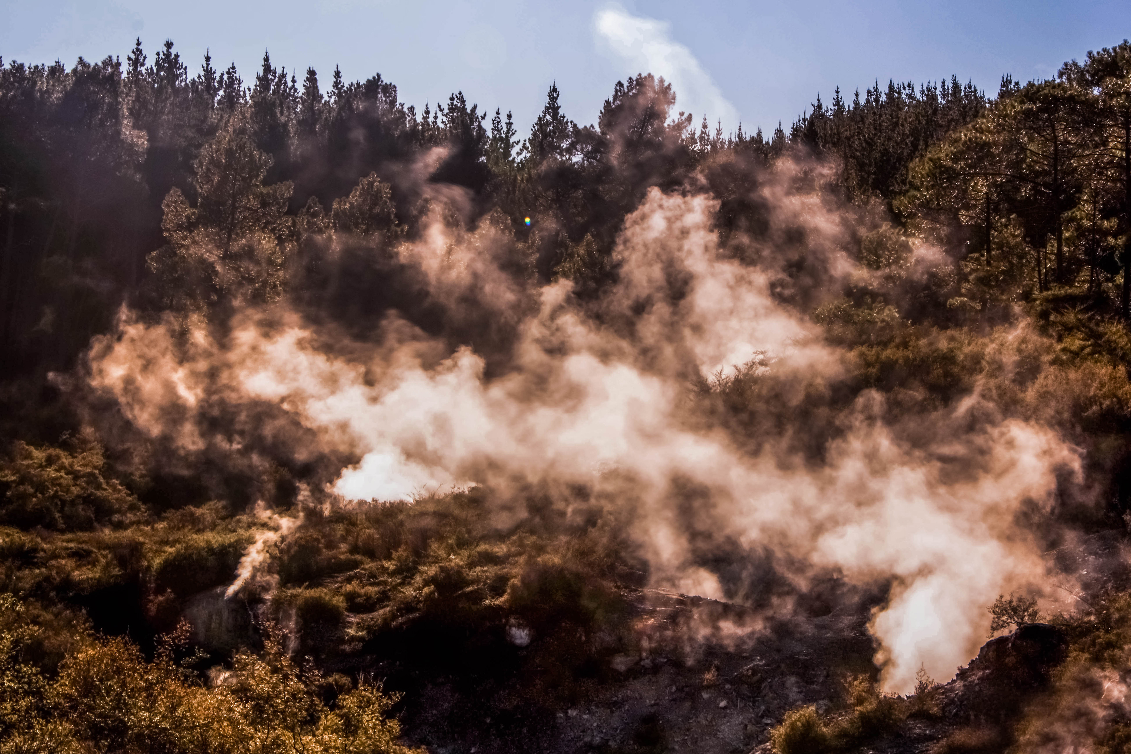 Wai O Tapu Wonderland - Nouvelle Zélande, parc de geyser, géothermie, fumerolles