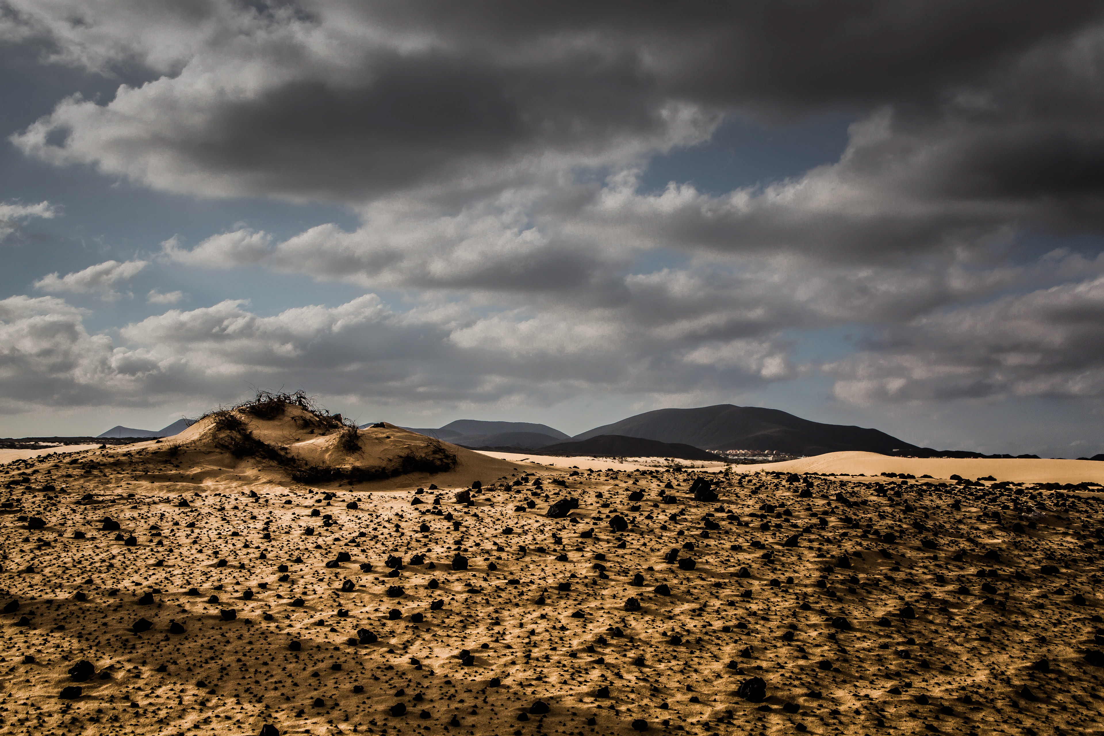 Parque natural de Corralejo, dunes organiques, fuerteventura, canaries