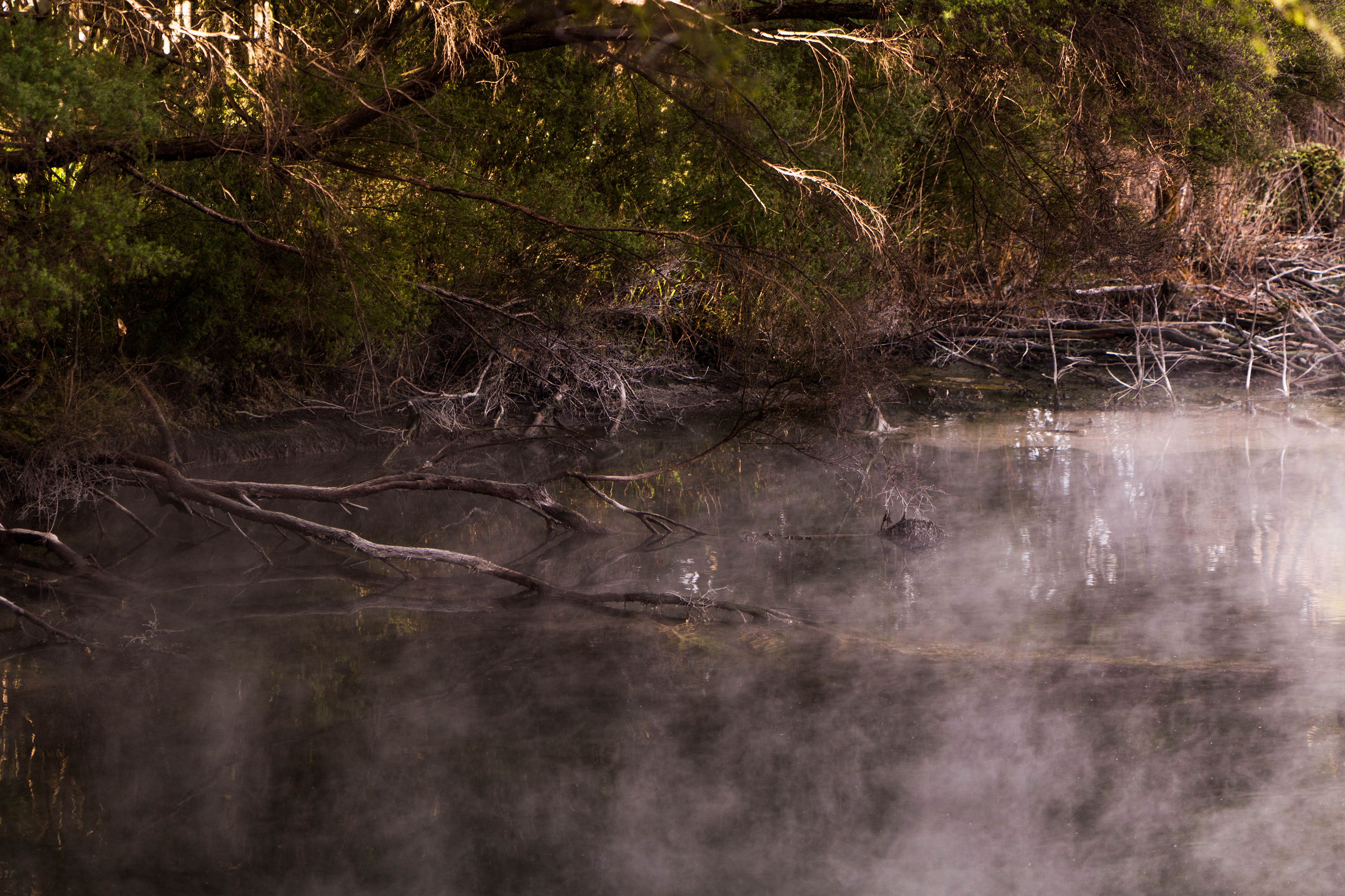 Kuirau park, rotorua, nouvelle zélande, activité géothermique