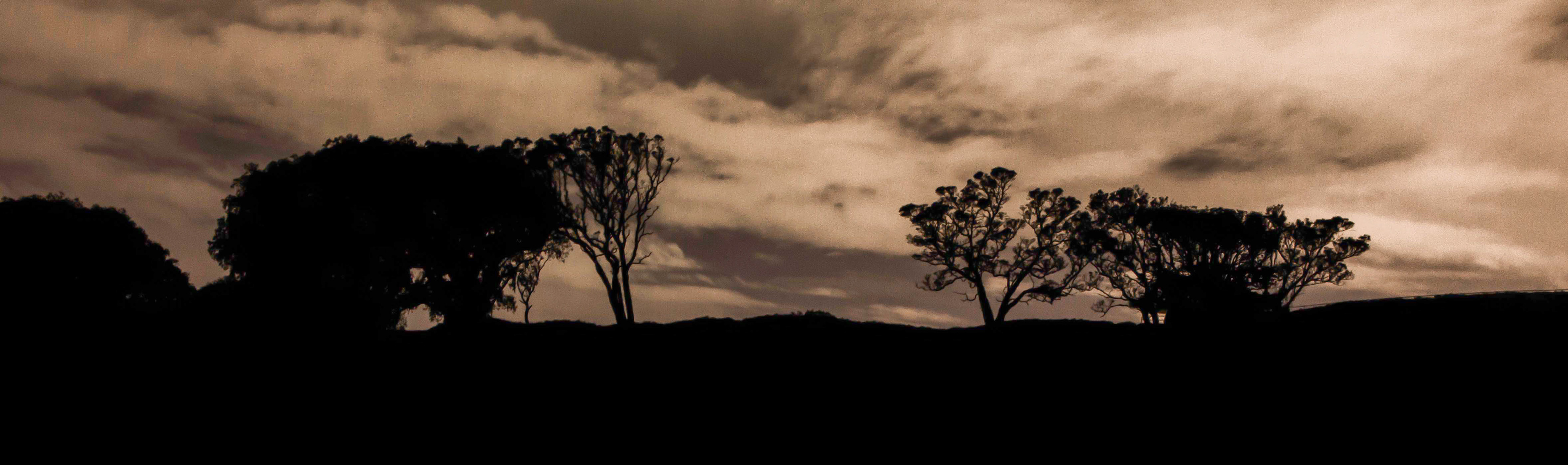 auckland, vue du mont eden, nouvelle-zélande, photo de nuit