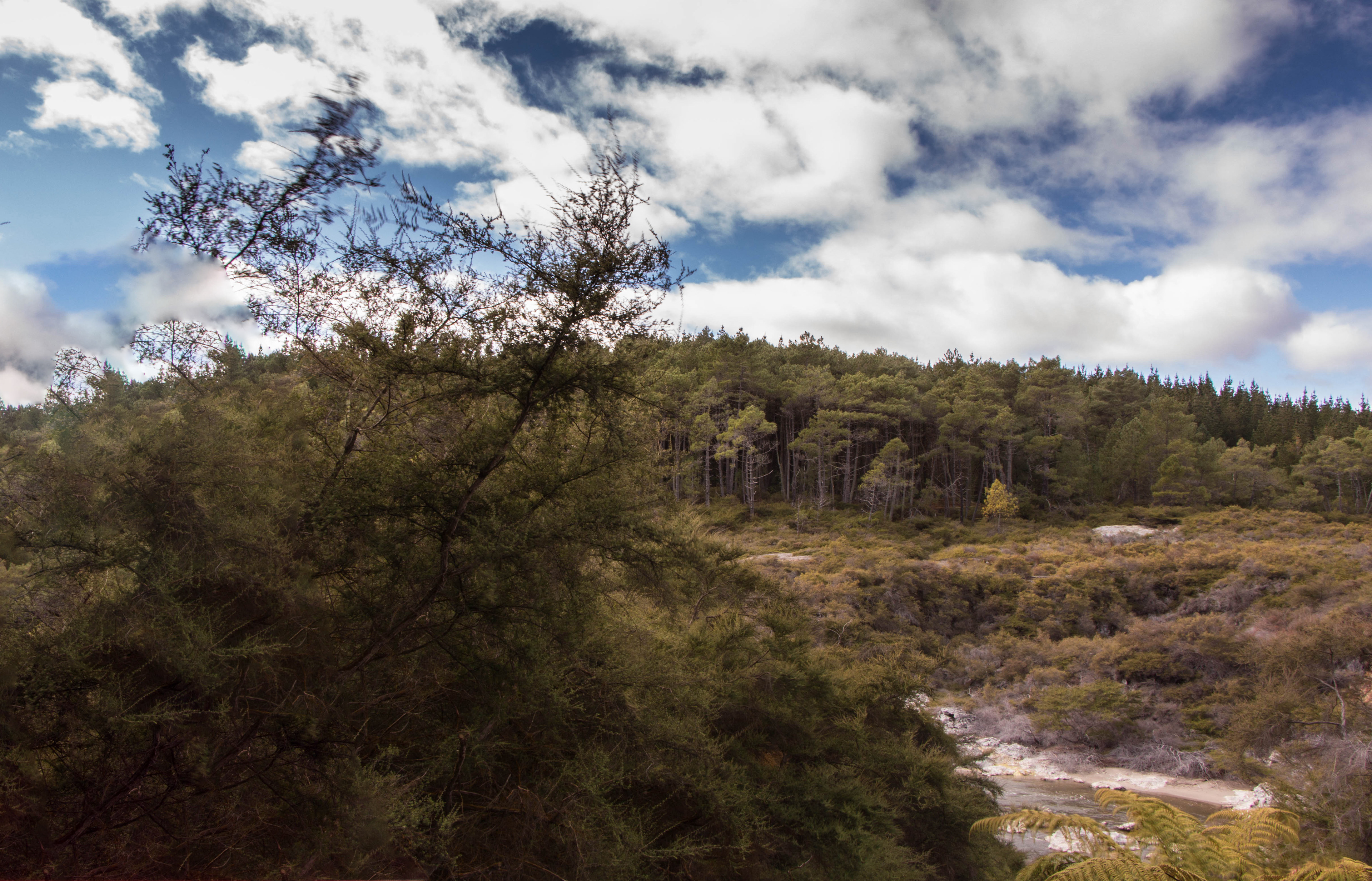rotorua, nouvelle zélande, skyline