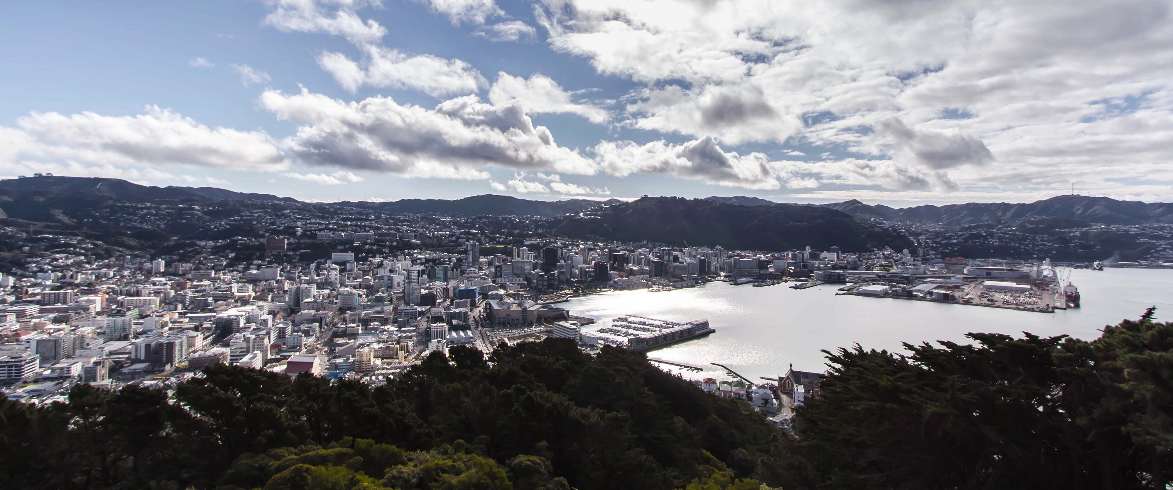 Wellington, Nouvelle-Zélande, vue du mont Victoria, port