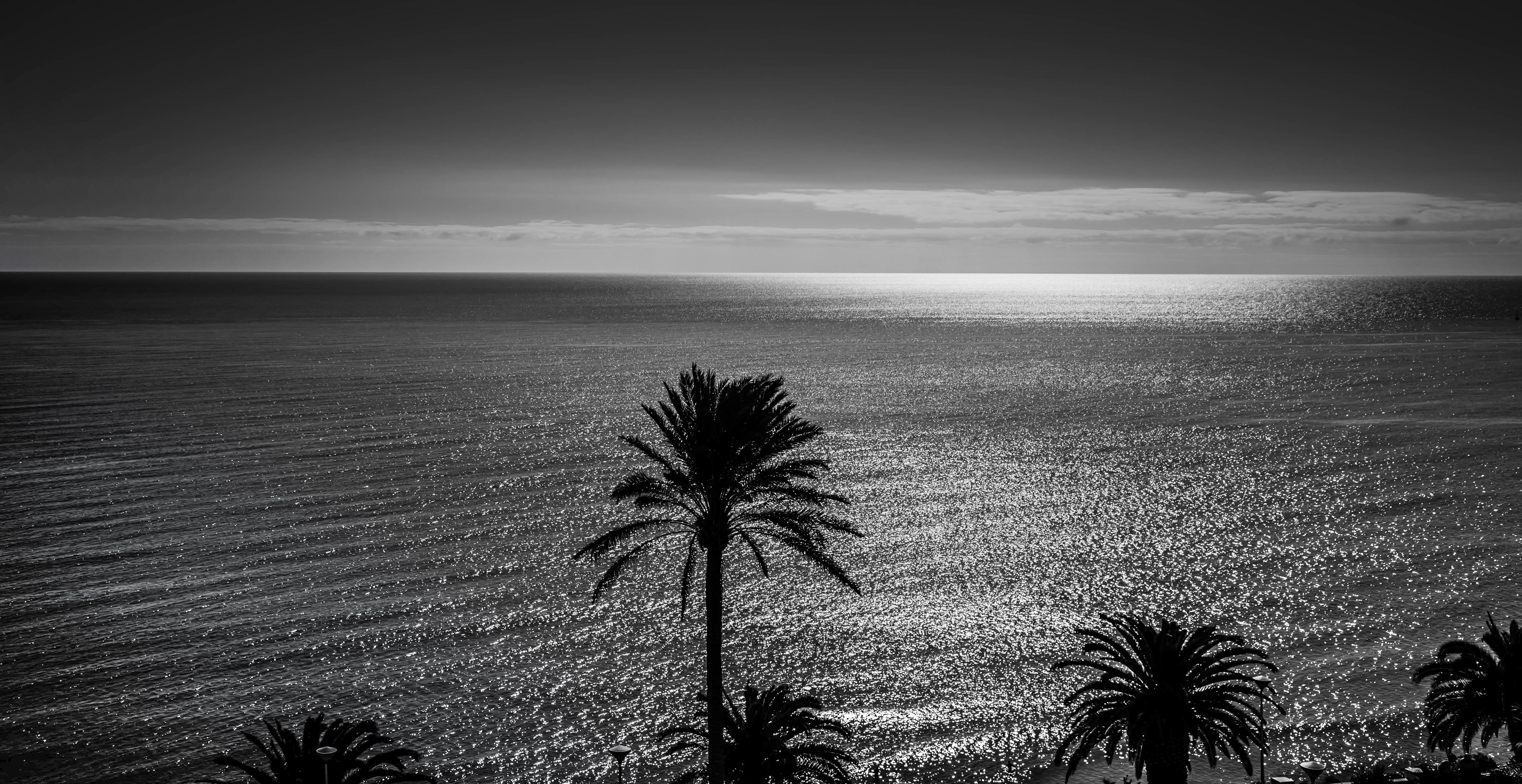 coucher de soleil, palmier, mer, noir et blanc, N&B, B&W, plage de fuerteventura