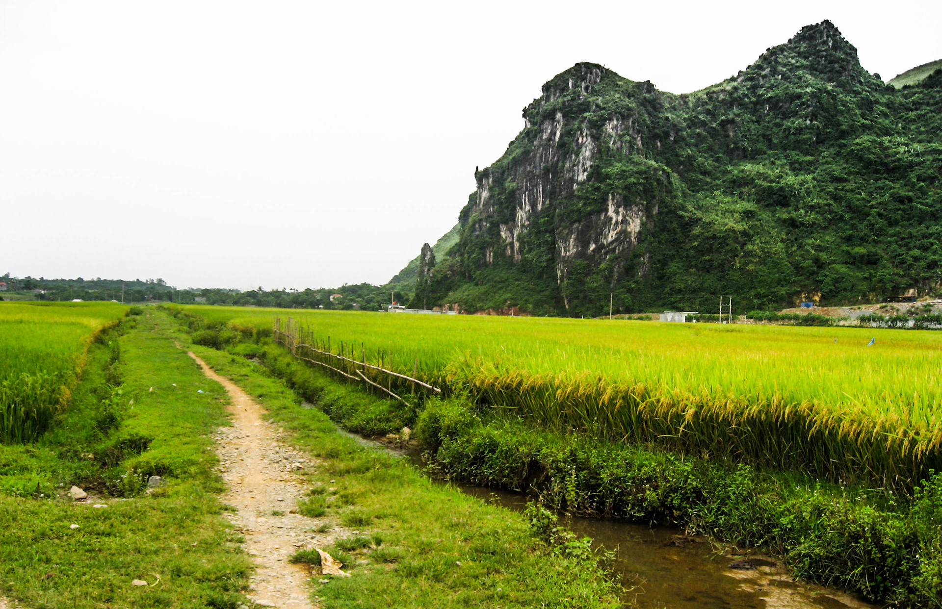 Vietnam du nord, randonnée, vallée de Luong Son, Hoa Binh., campagne, montagne Nang Hang, rivière Bui, rizières, lac, piton de calcaires