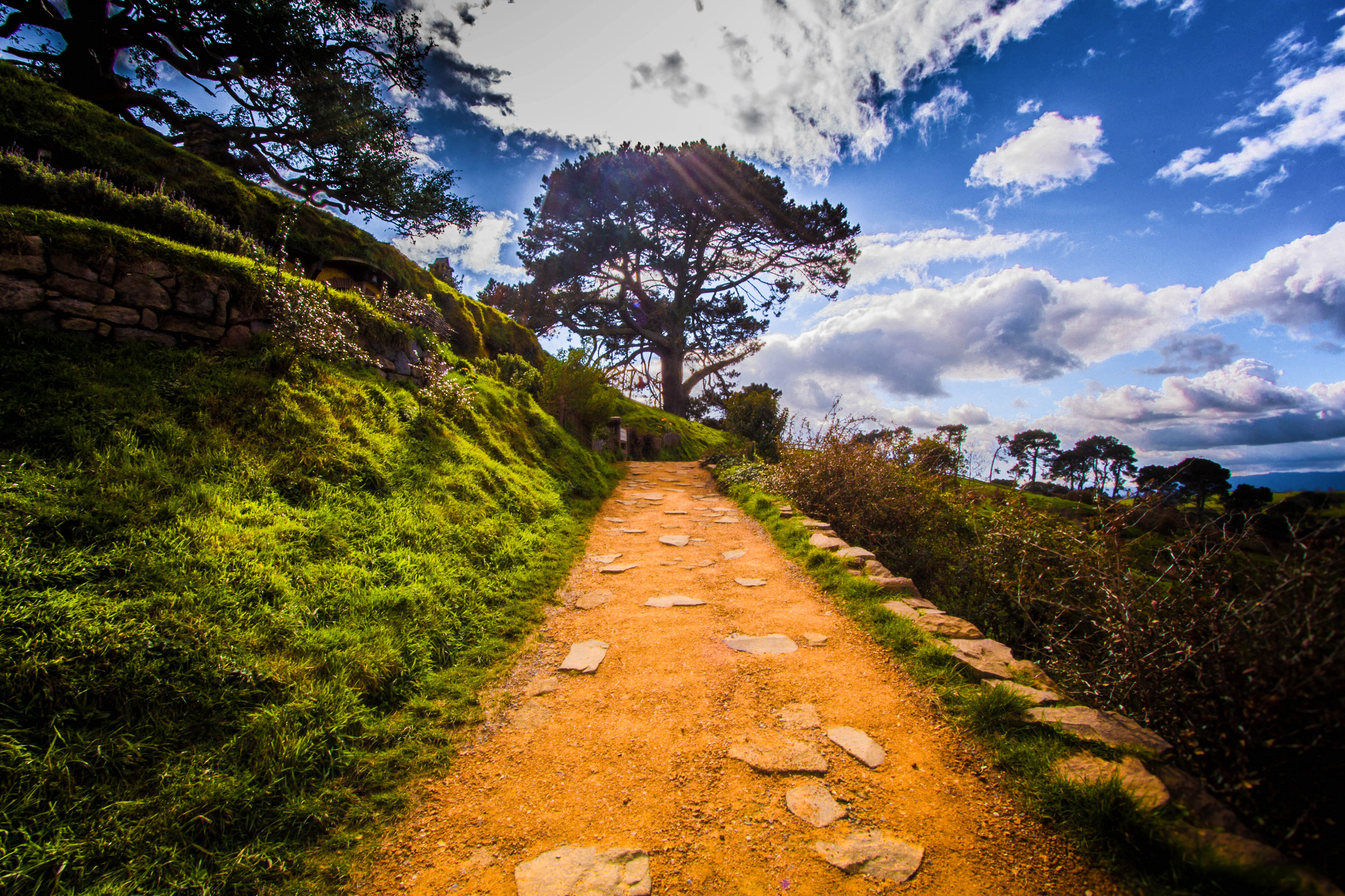 nouvelle-zelande, matamata, seigneur des anneaux, hobbit, lieu de tournage, comté