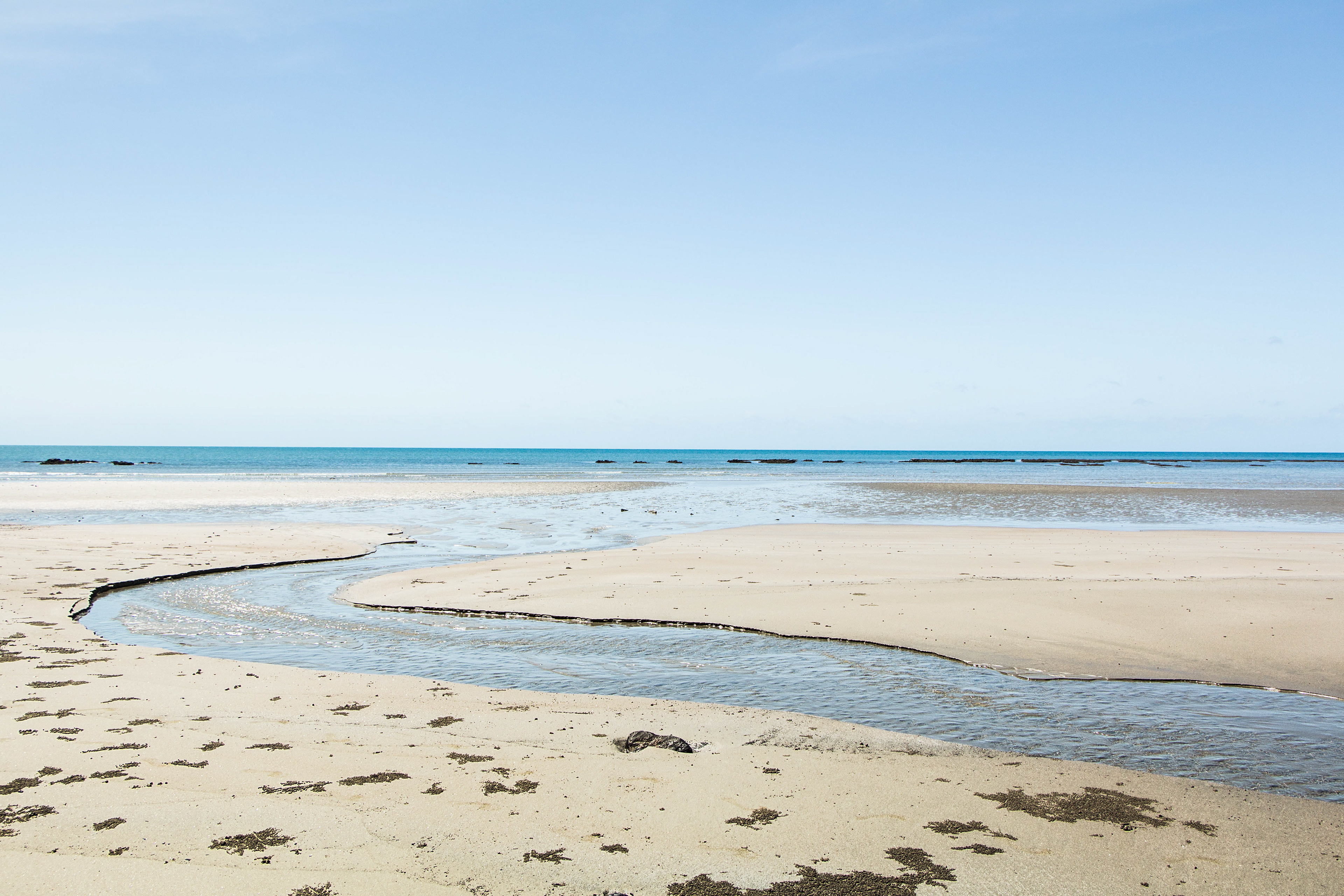 australie, queensland, daintree, forêt, rivière, mer