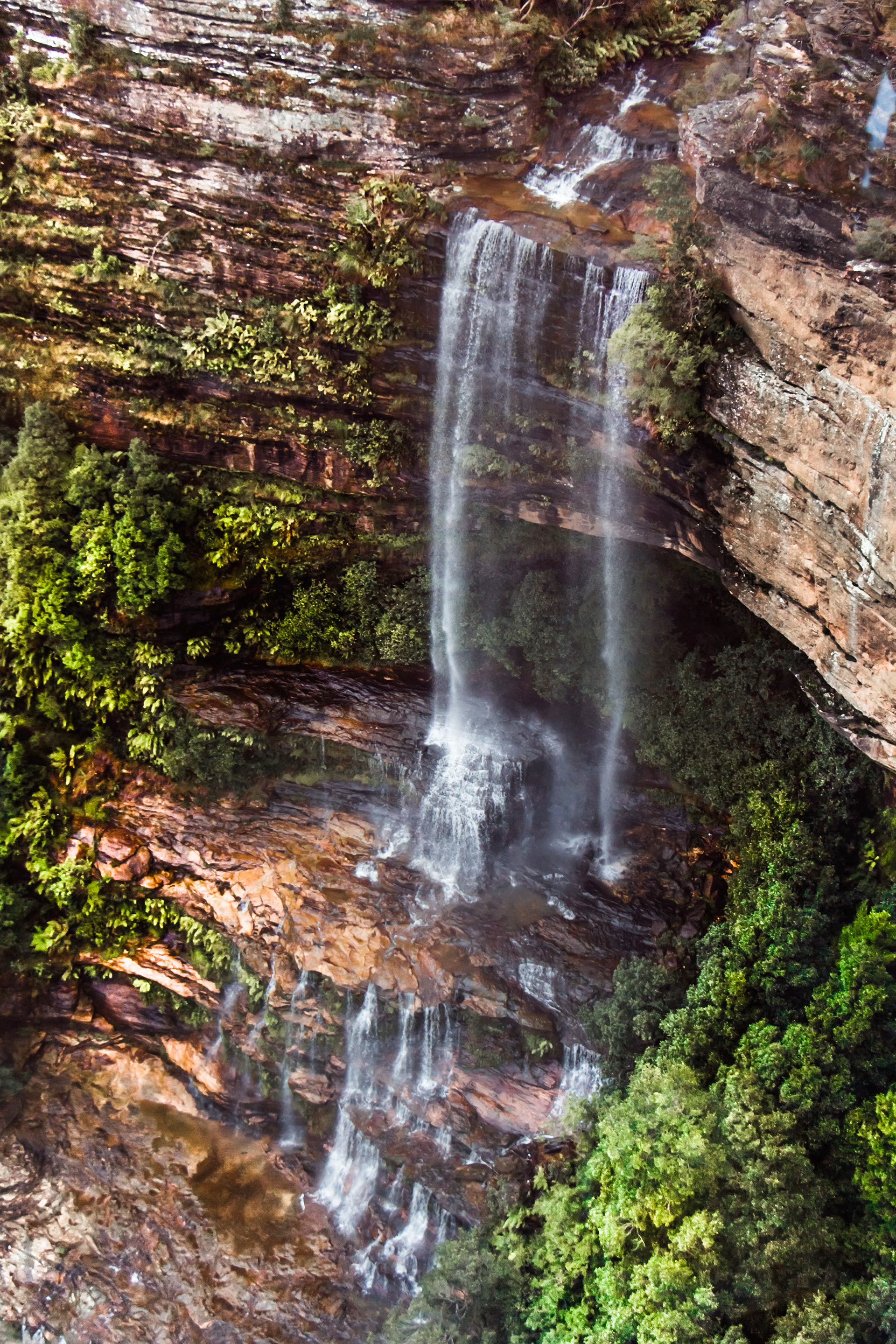 parc national des Blues Mountains, montagne, eucalyptus, forêt, australie, cascade