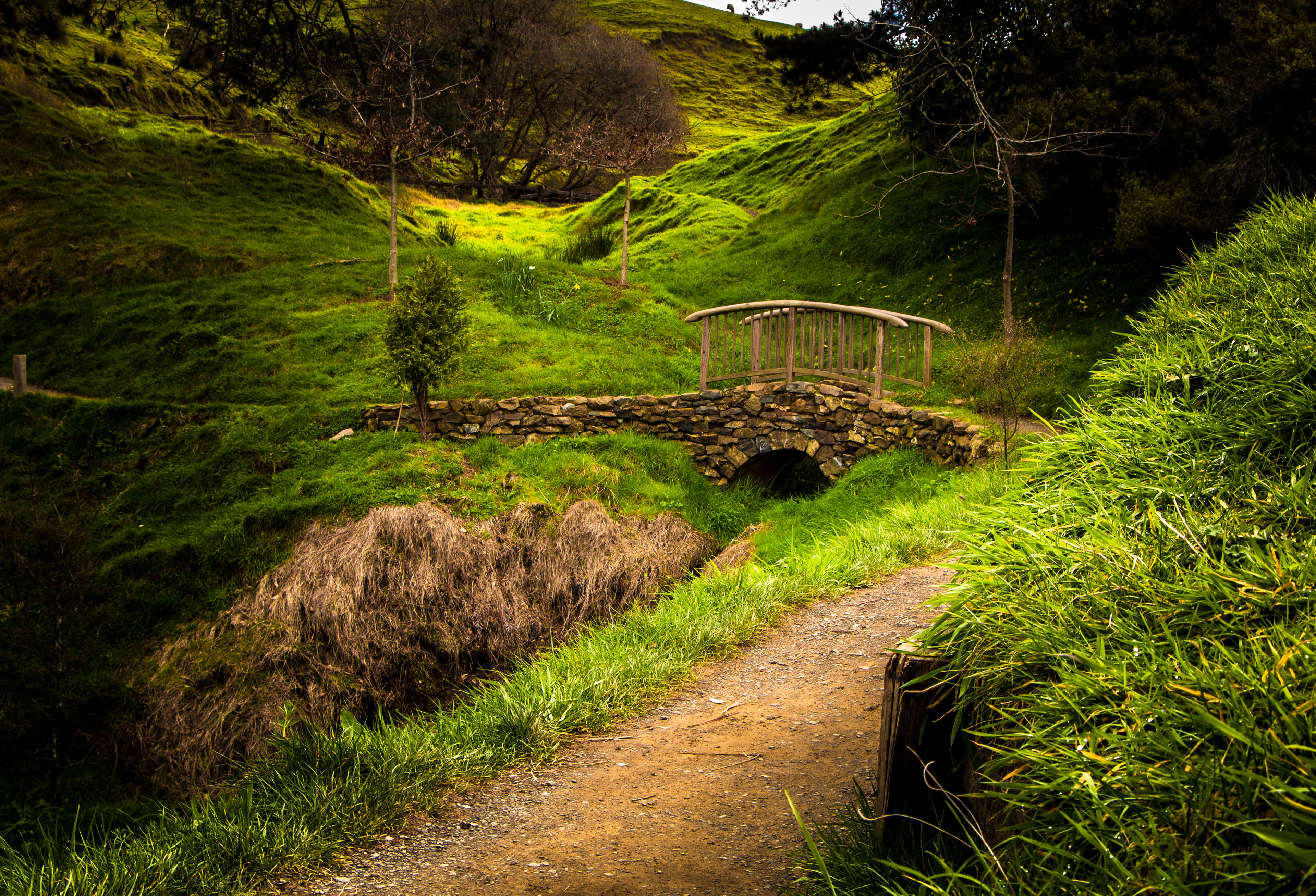 nouvelle-zelande, matamata, seigneur des anneaux, hobbit, lieu de tournage, comté