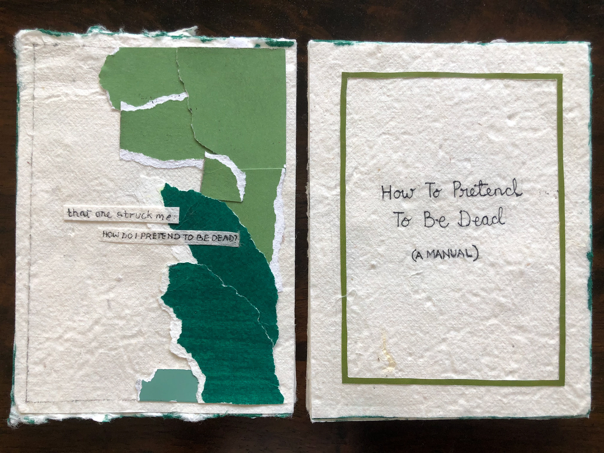 Pages 6 & 7 of Book 4