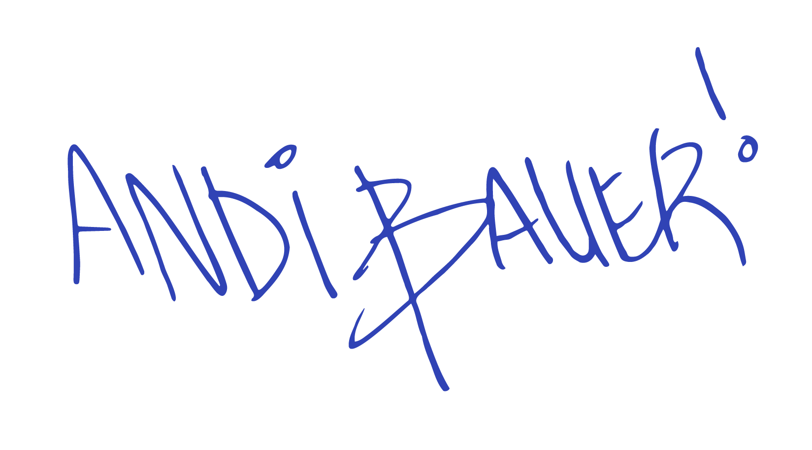 Andi Bauer