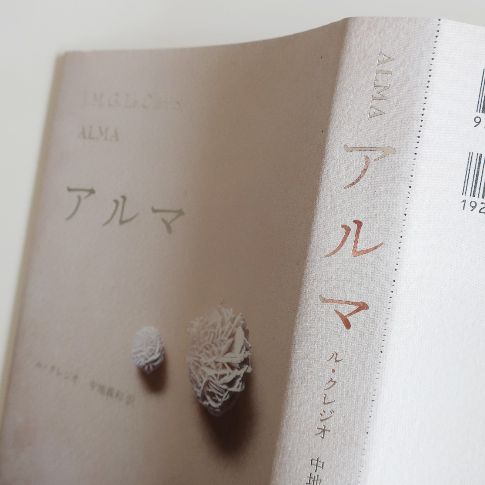 写真『アルマ』