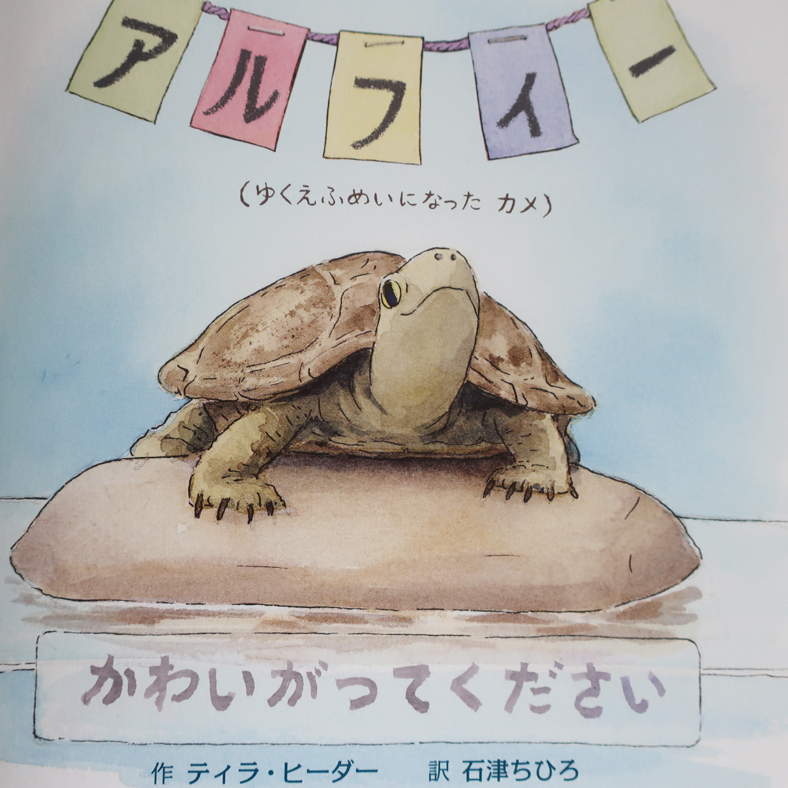 202009「アルフィー」
