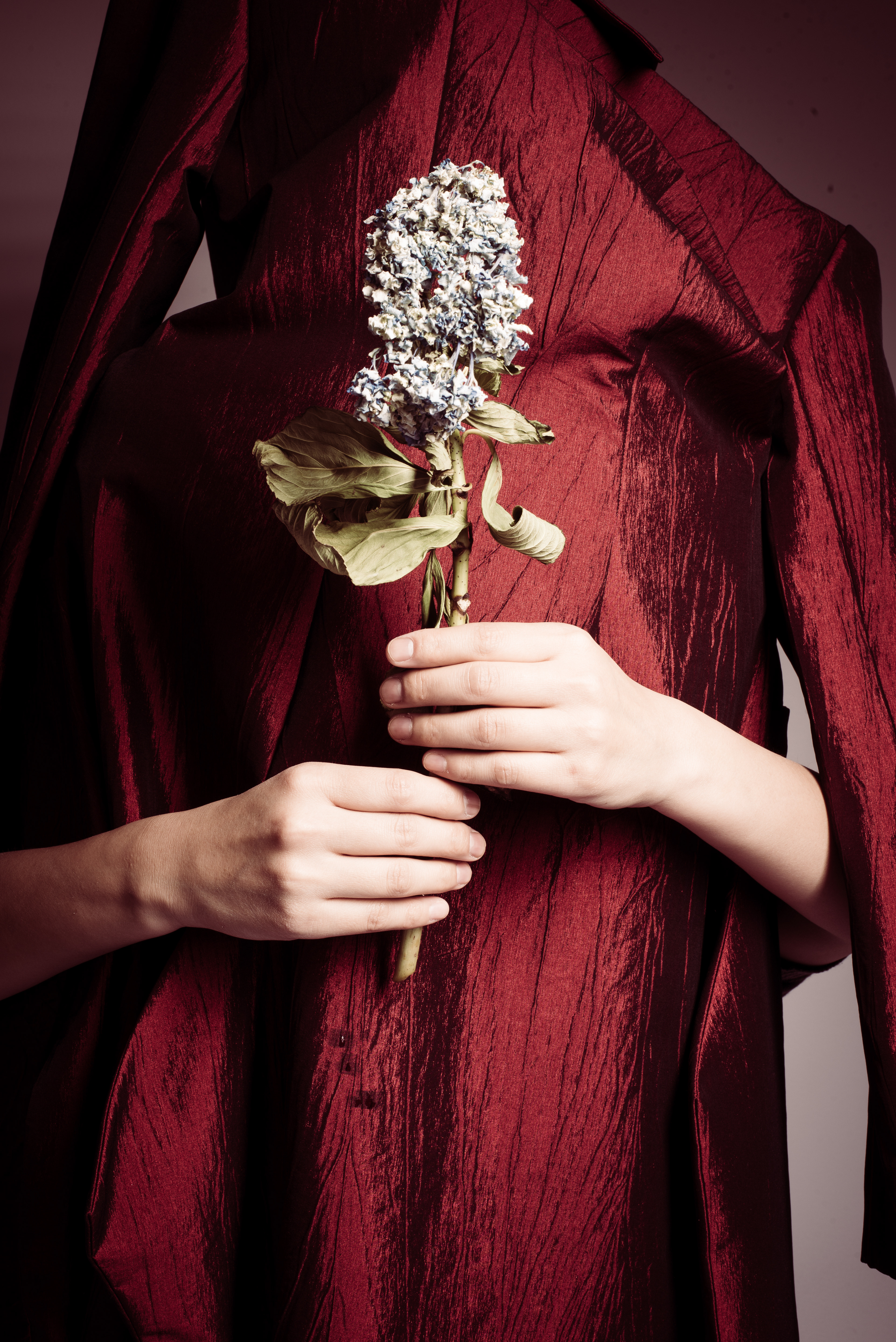 Lubin Studio Collection