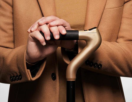 CanGo IoT Cane