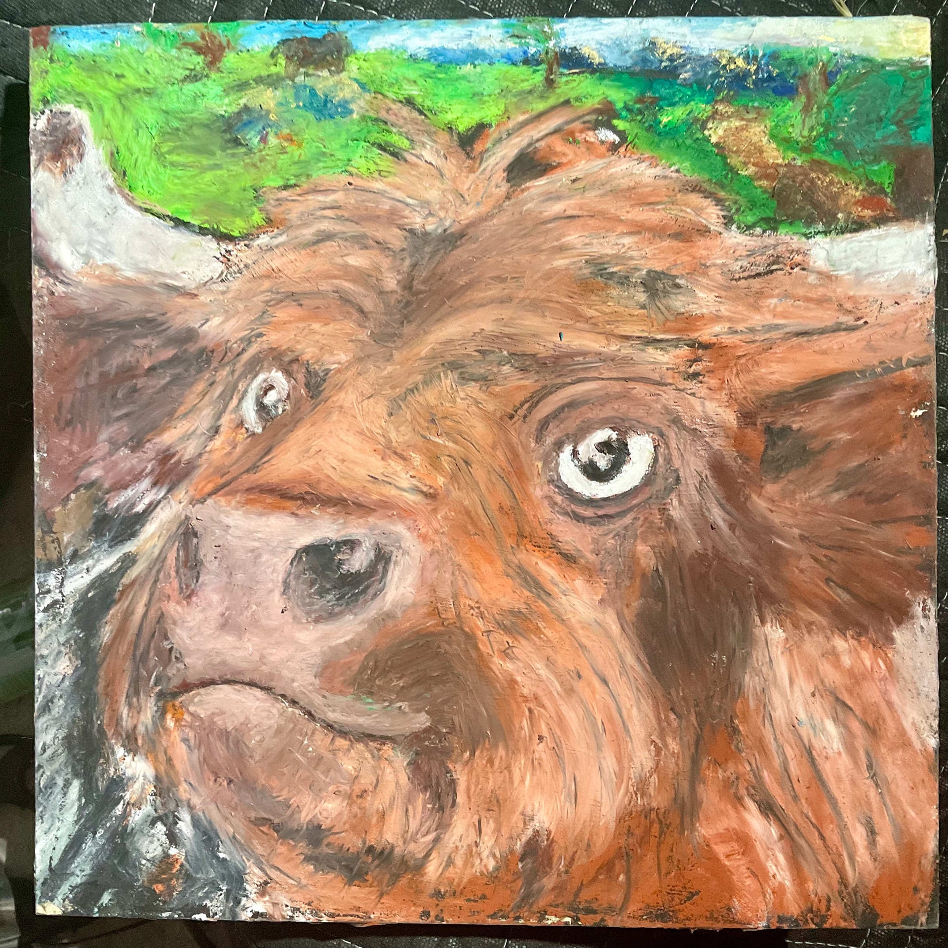 Bovine Bob