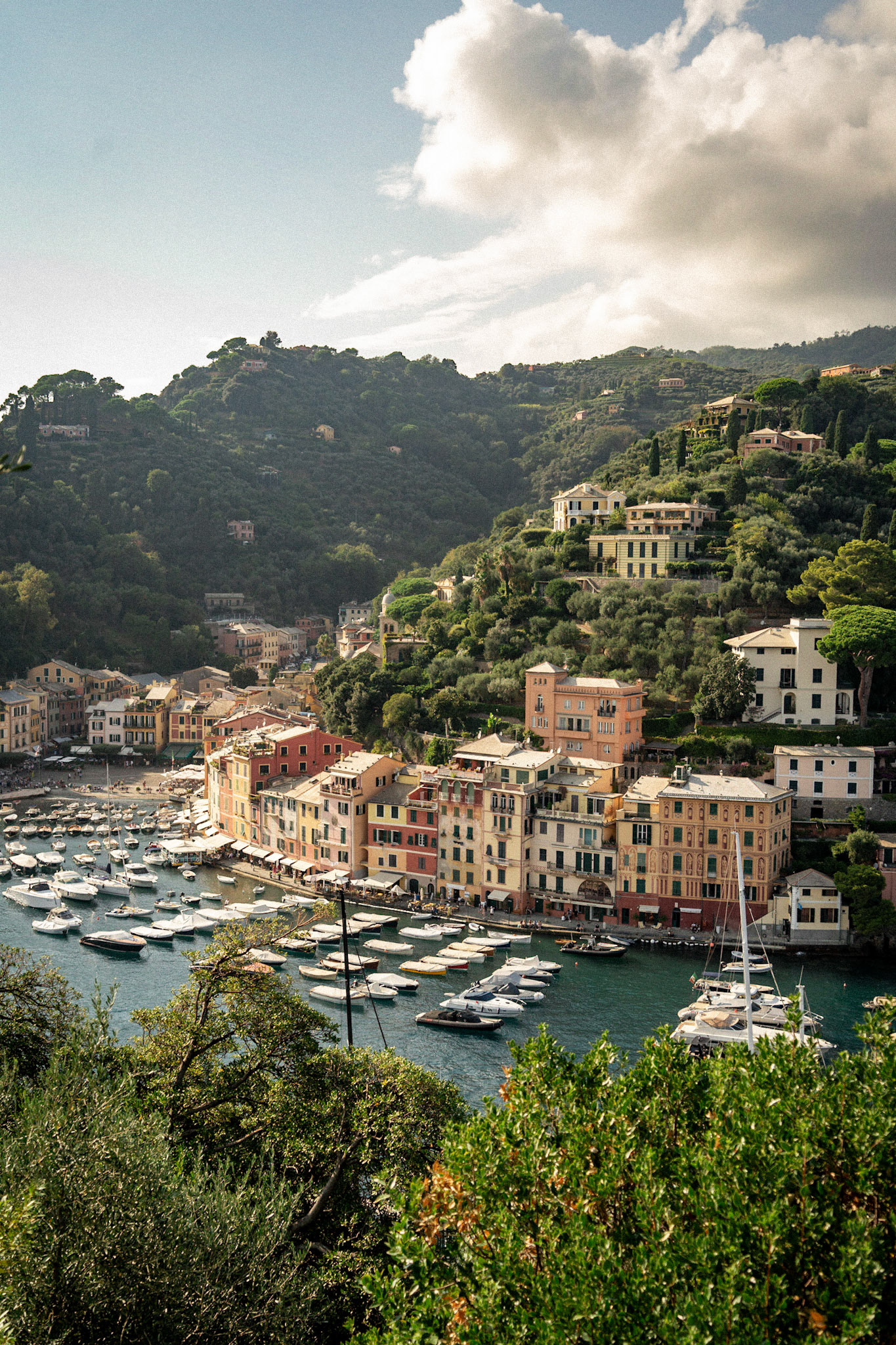 Portofino Summer