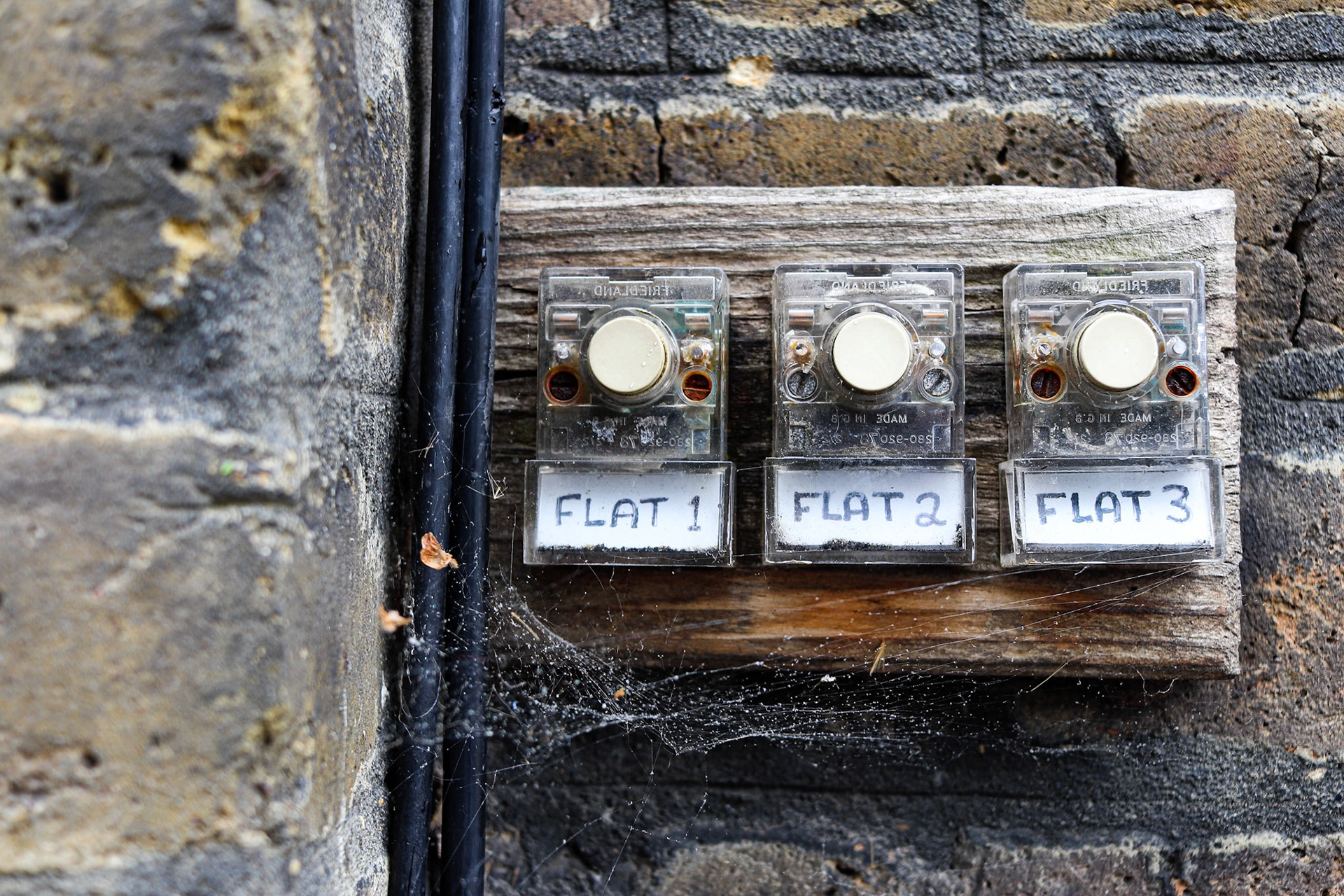 131/365 Easy as 1 2 3