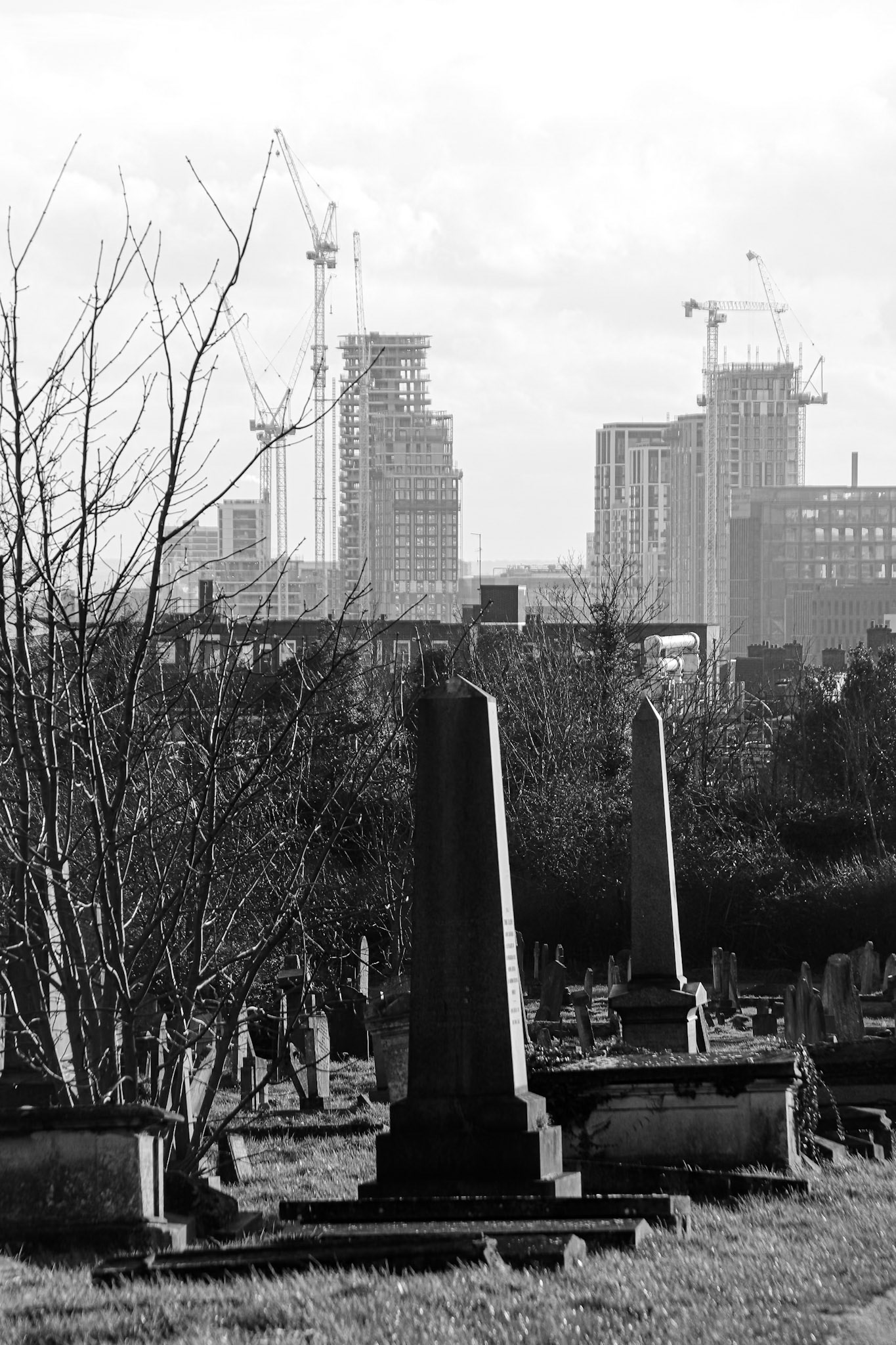 009/365 The past and the future