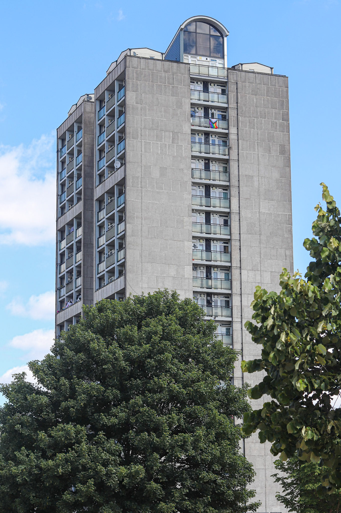 186/365 Beautiful and brutal