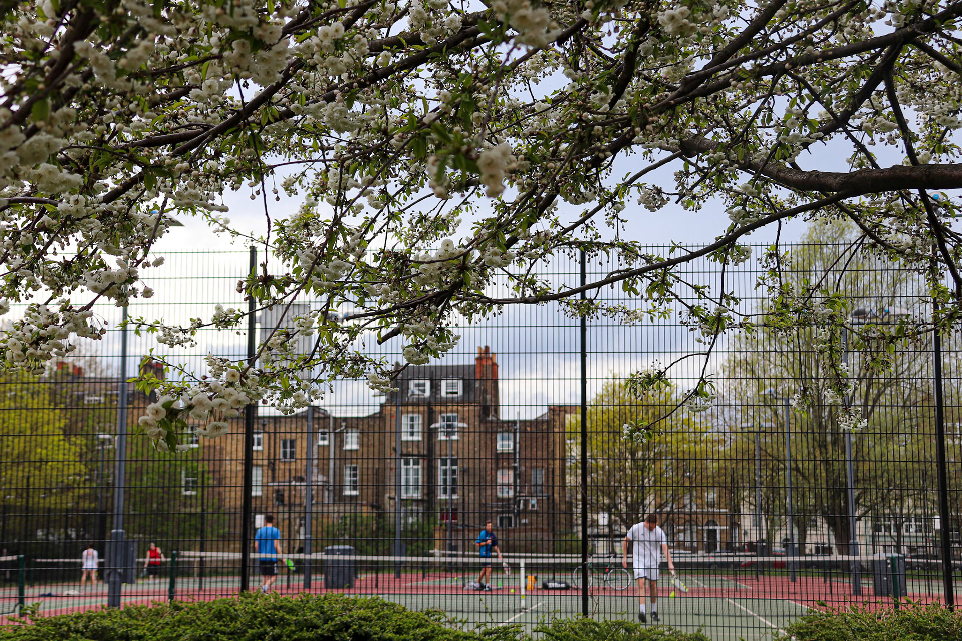 102/365 Anyone for tennis?