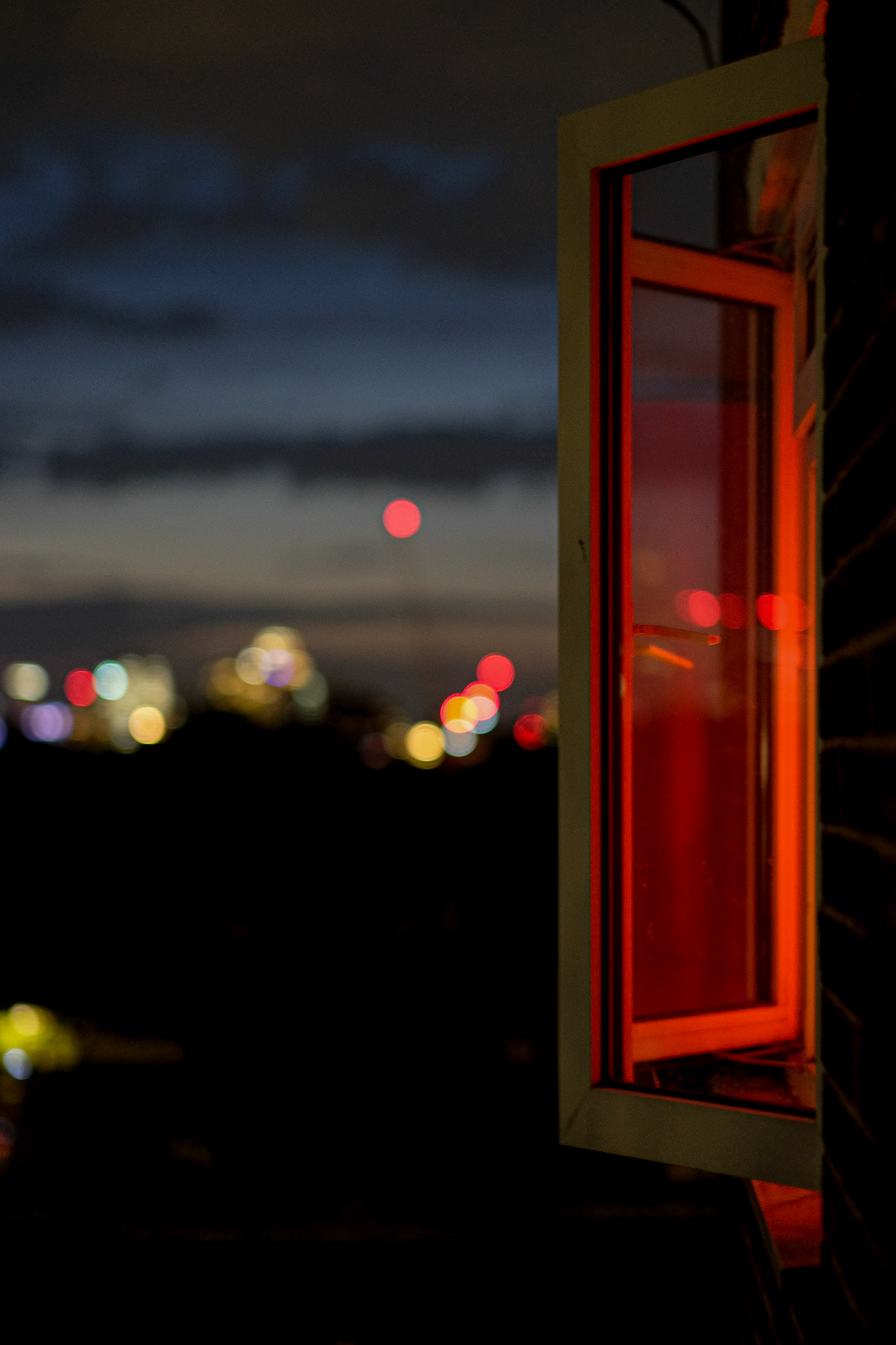 248/365 Window on the world