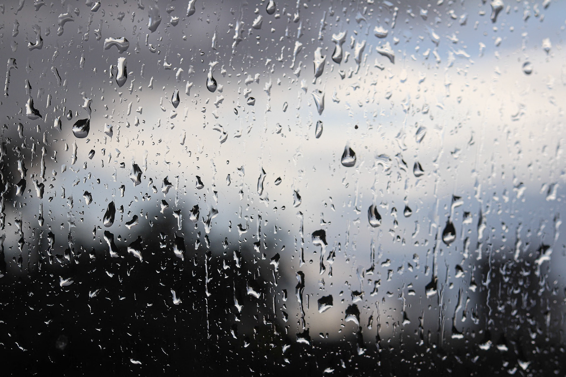 151/365 Sunshine and showers