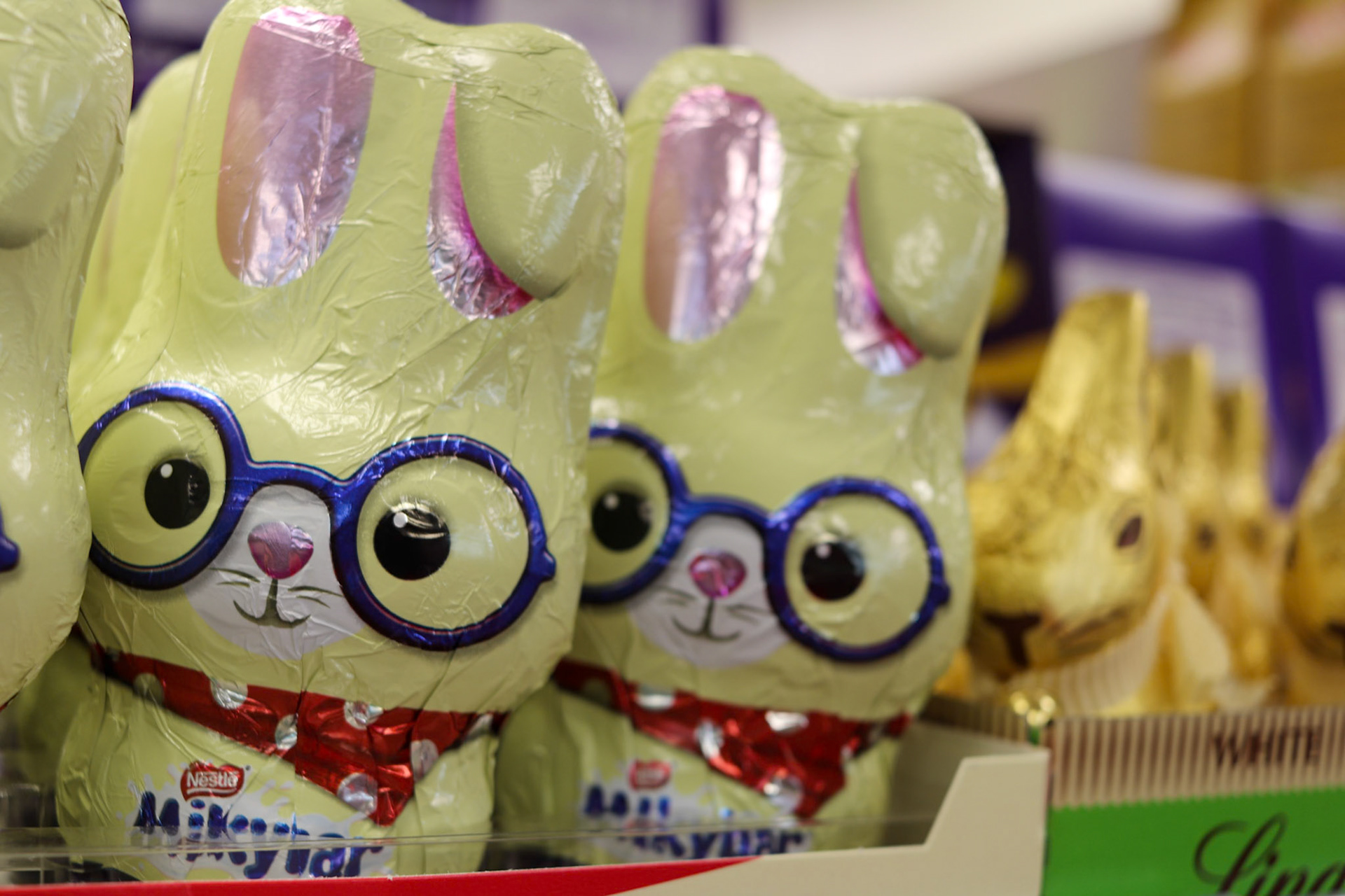 059/365 First signs of the easter bunny