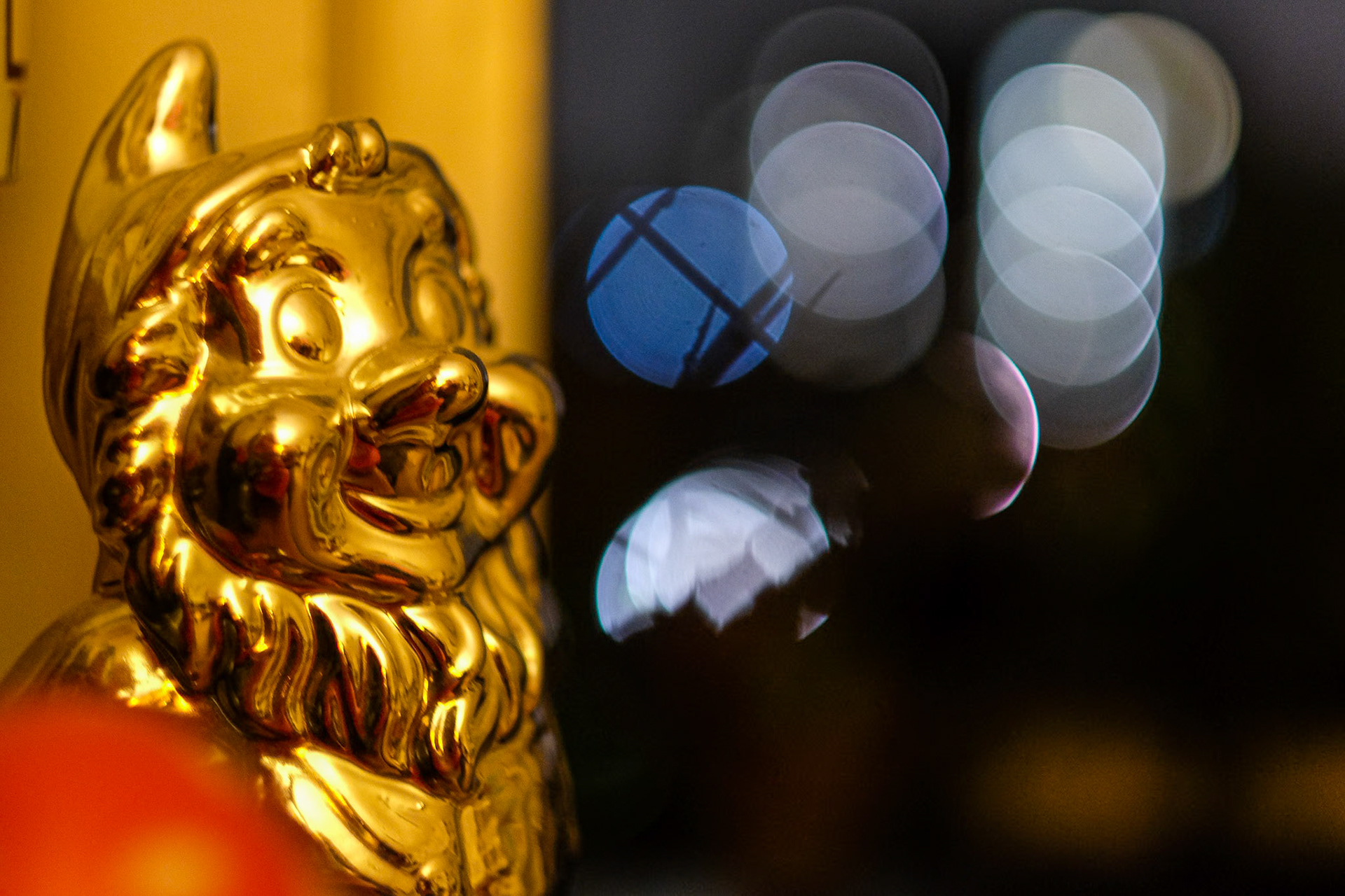 320/365 Gnome sweet gnome