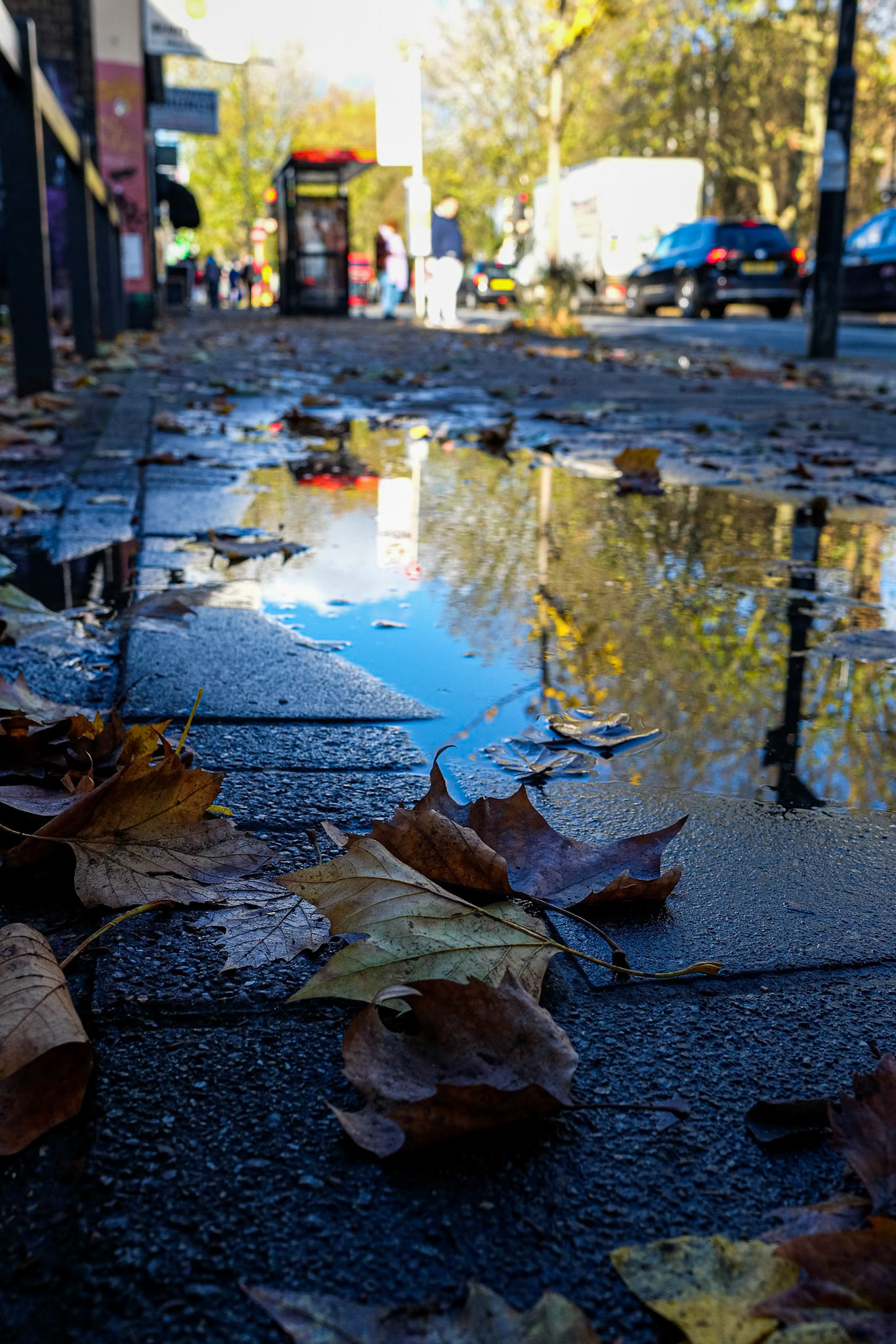 326/365 Winter sunshine