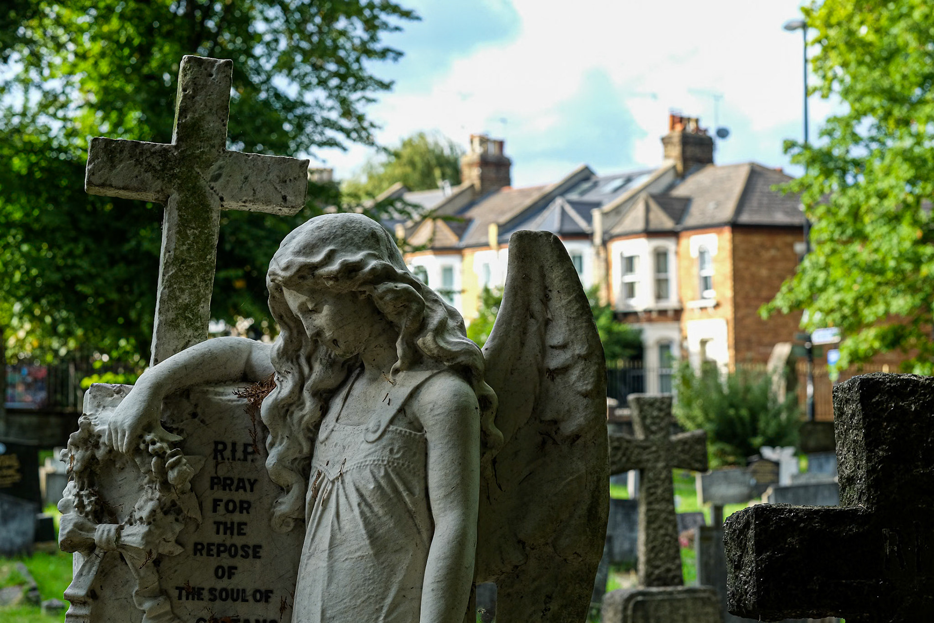 254/365 Life goes on