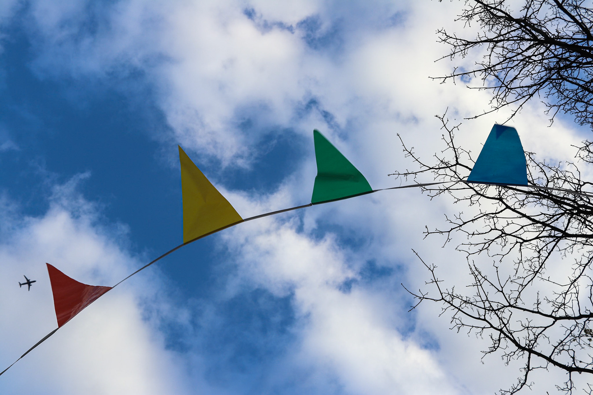 095/365 Blowing in the wind