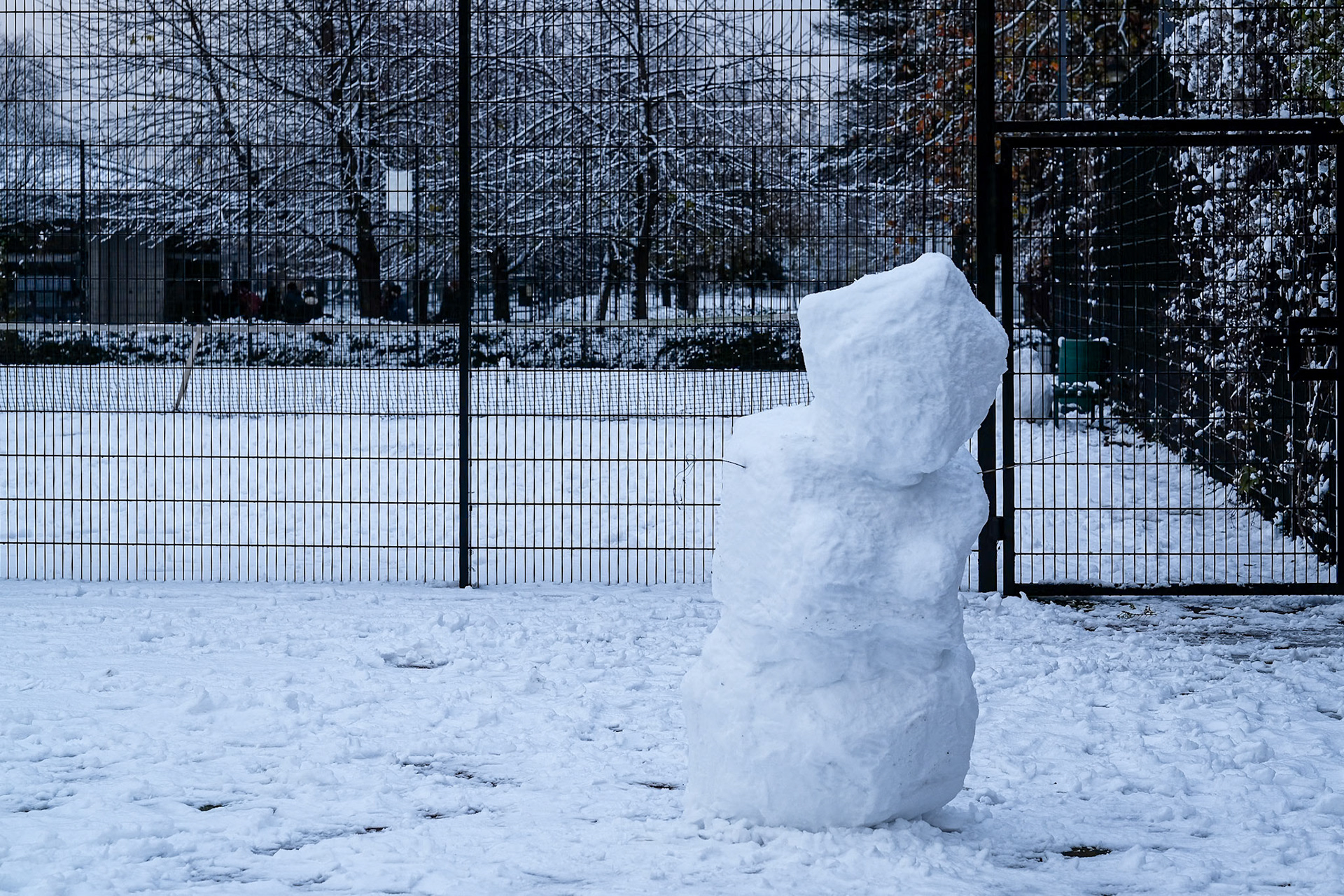 346/465 Temporary resident of Burgess Park