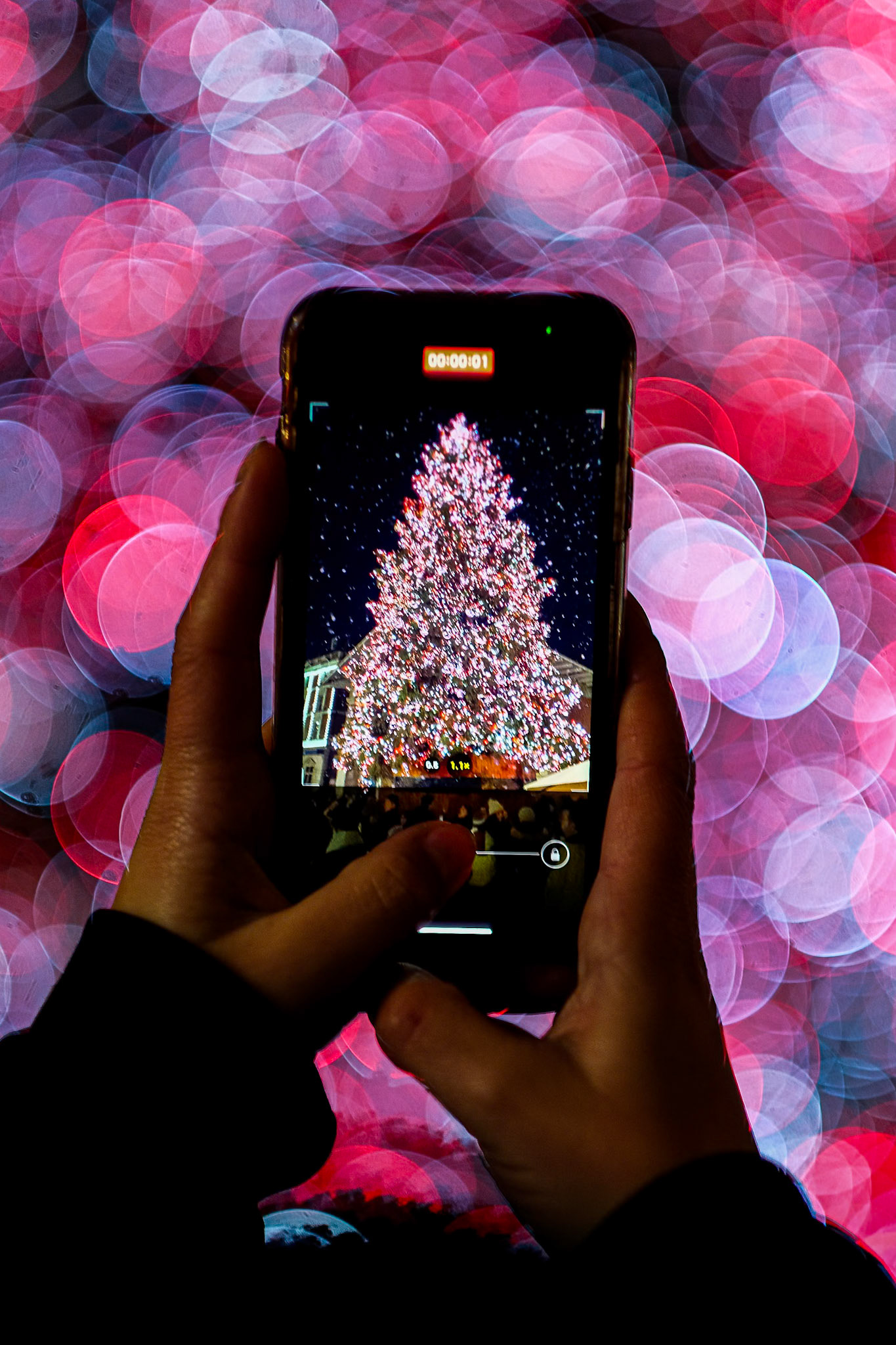 341/365 Festive blur