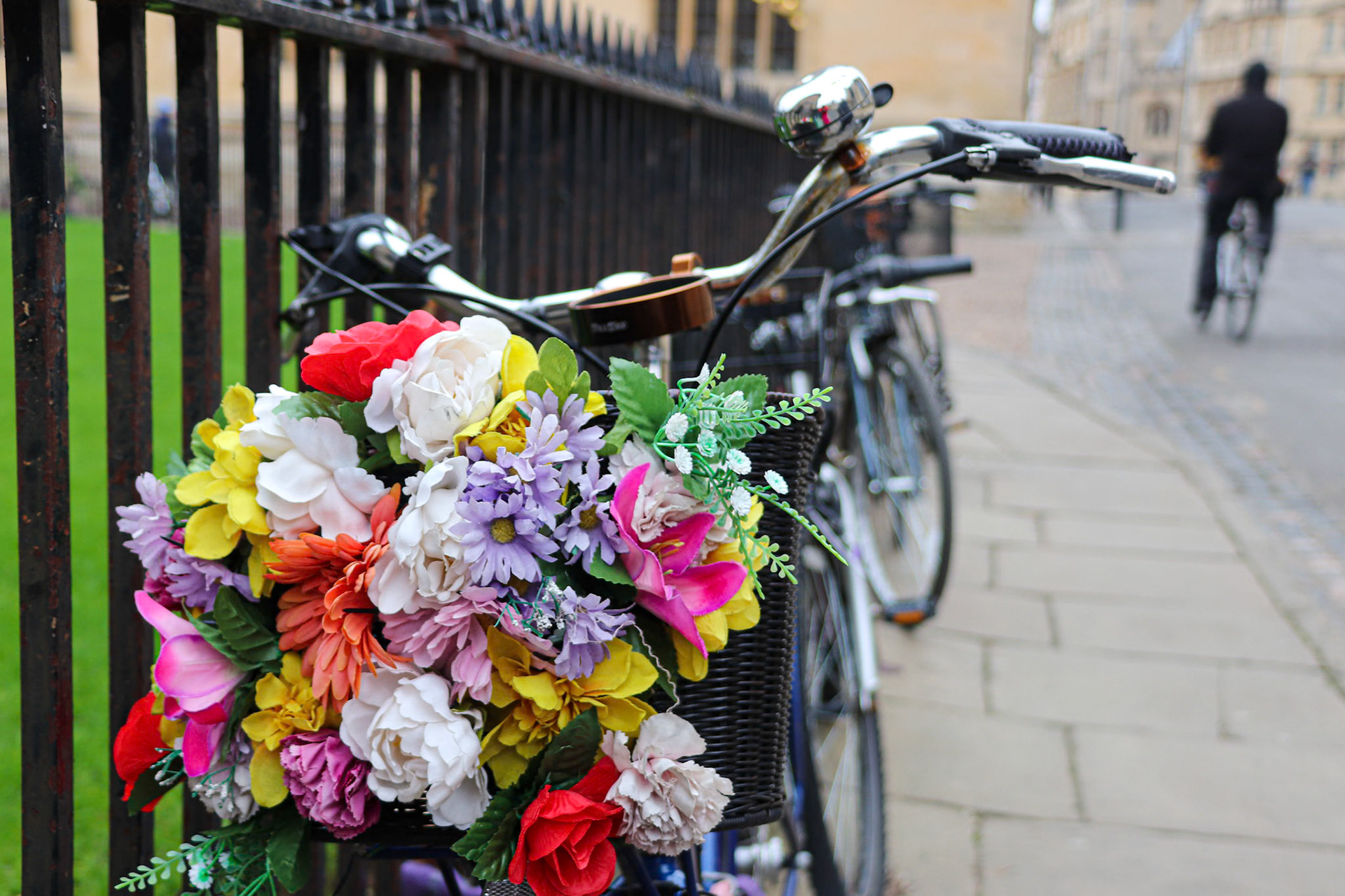 024/365 Oxford bicycles