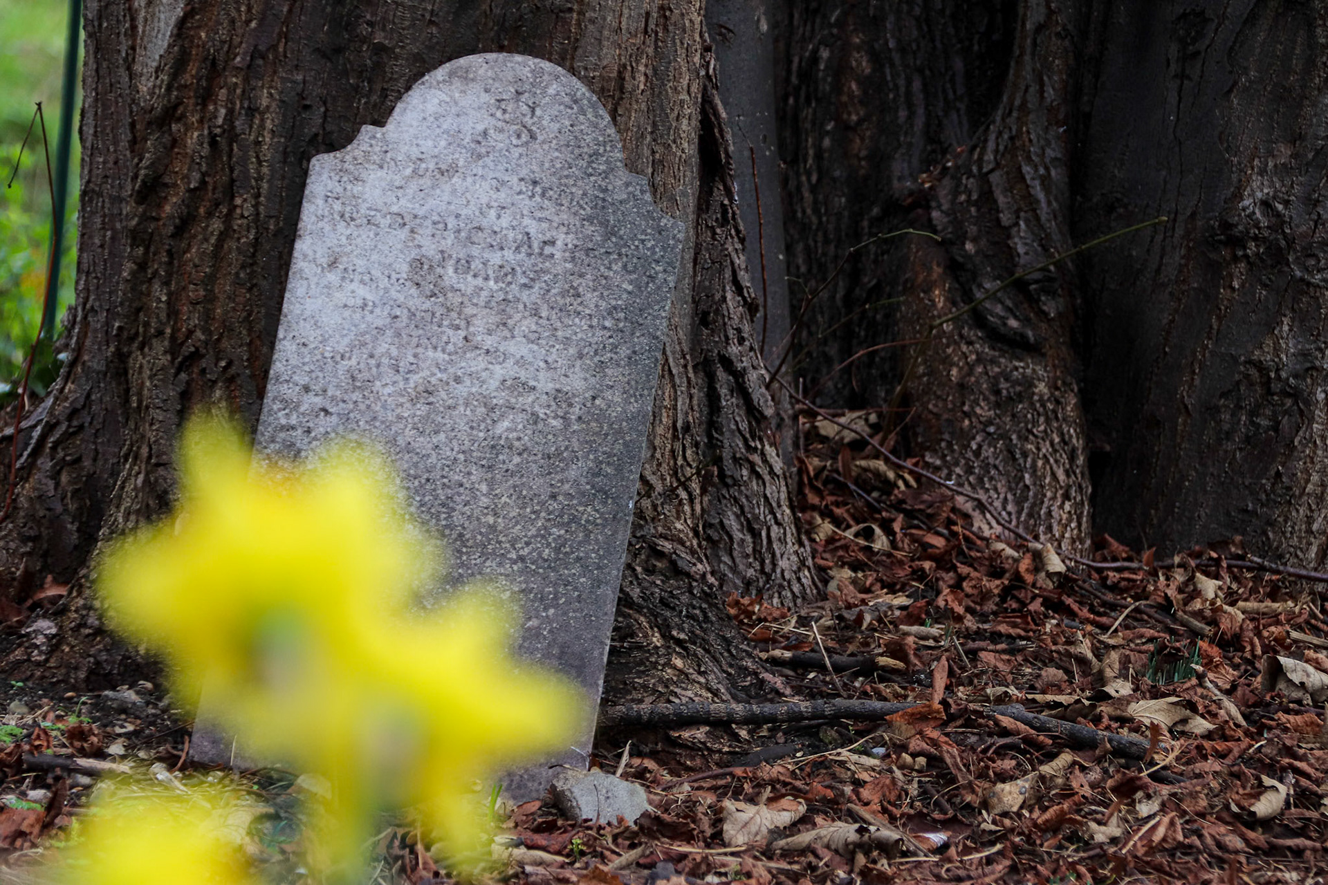 026/365 Lone gravestone