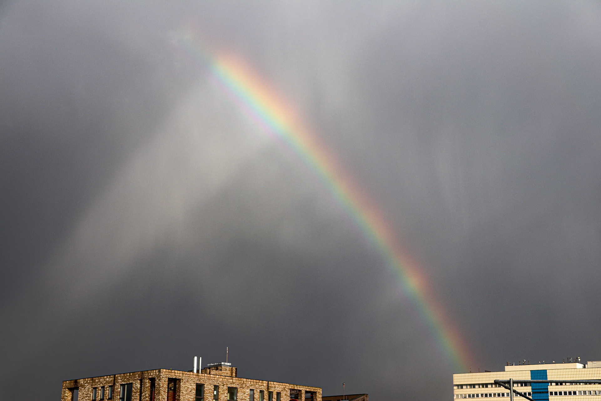 144/365 Up above the streets and houses