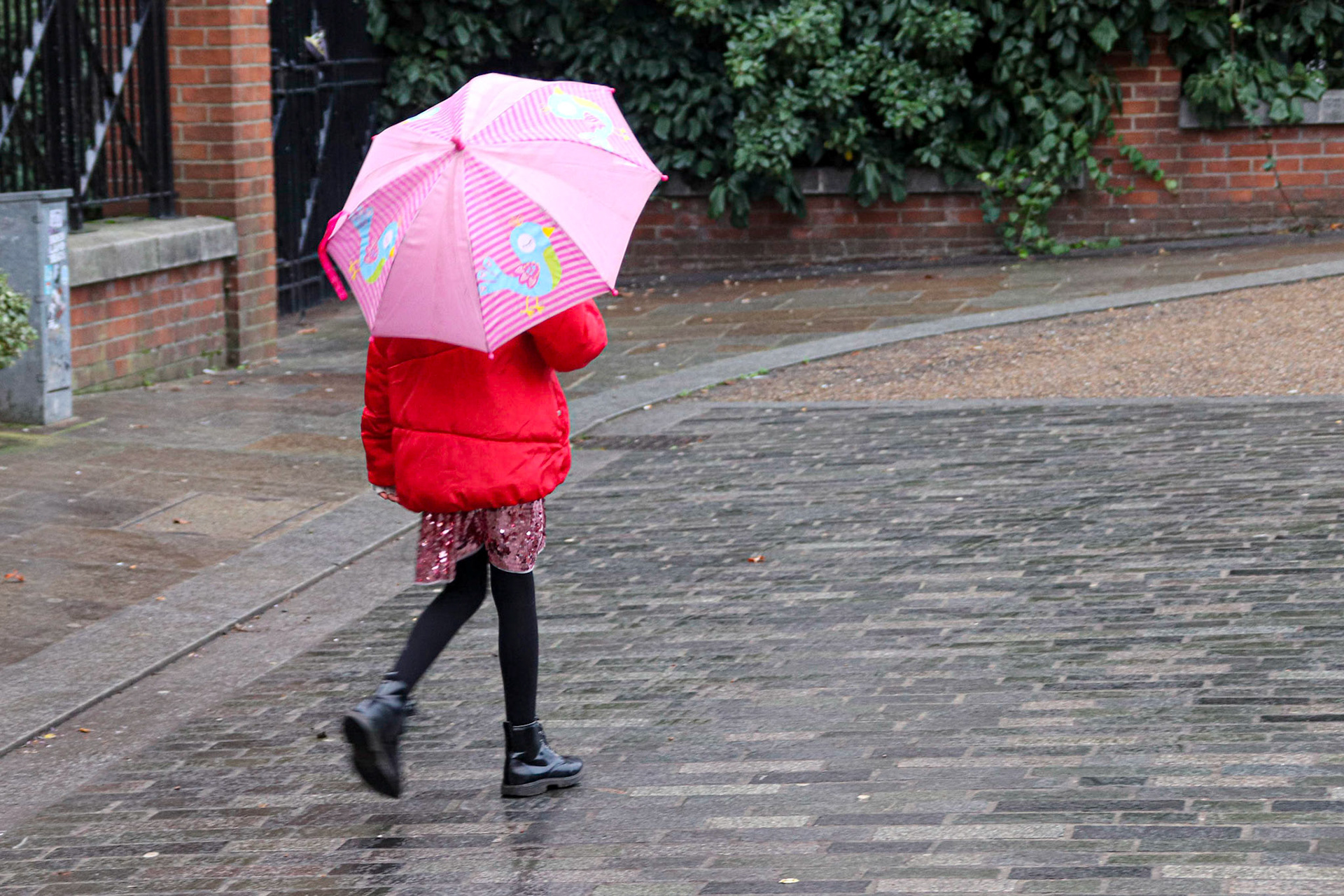 002/365 Raindrops keep falling on my head