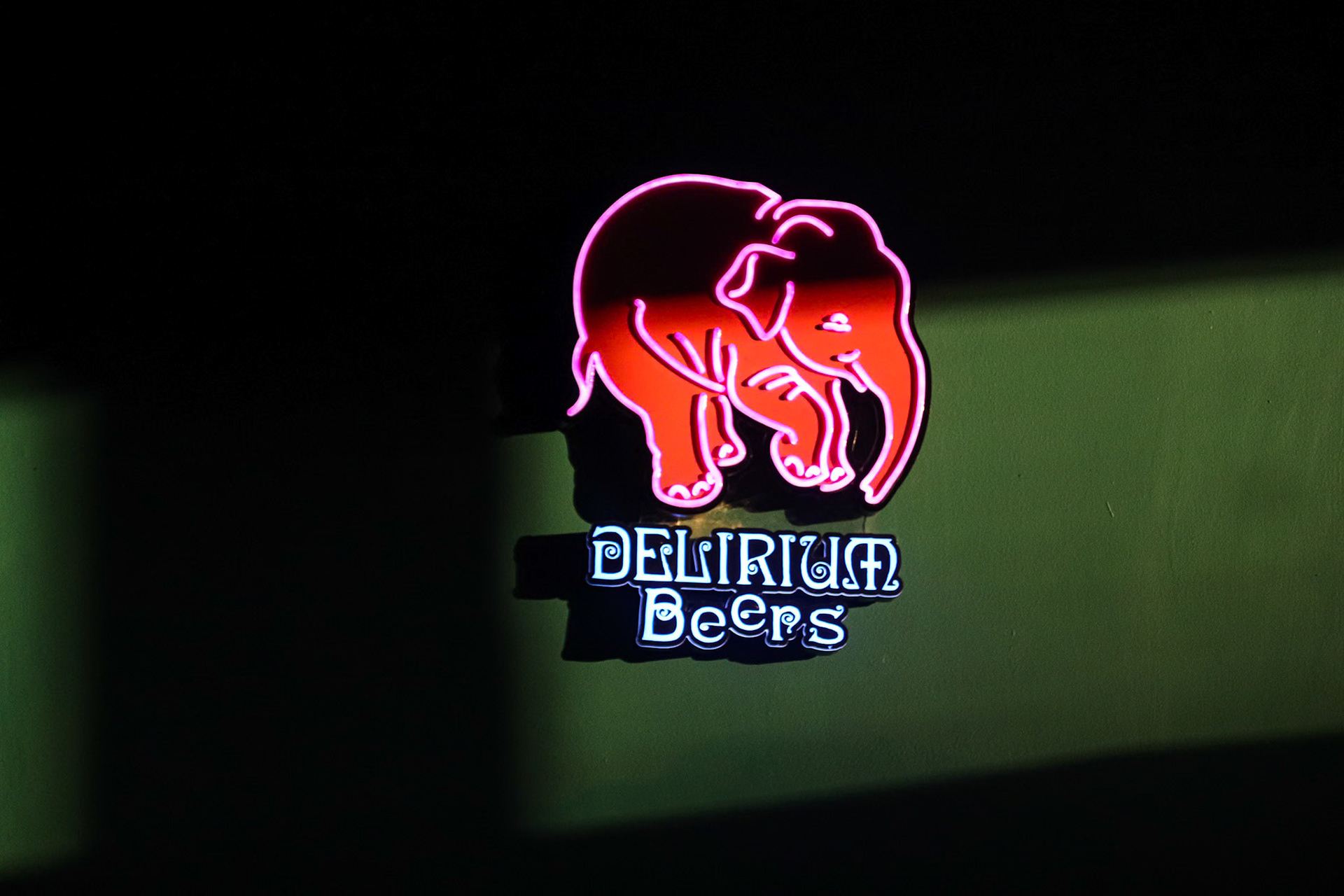 105/365 Sun streaming in