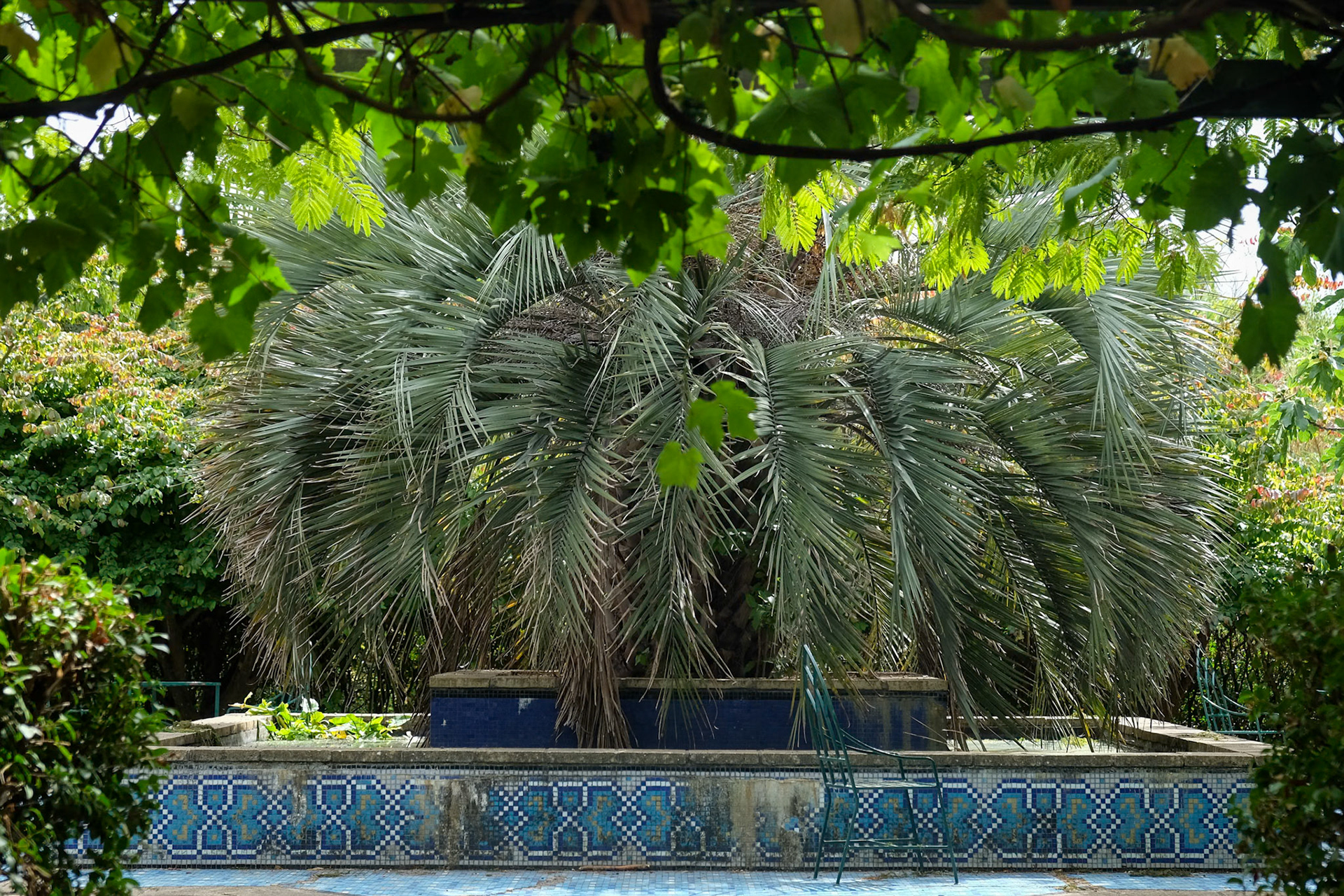 232/365 Chumleigh Gardens