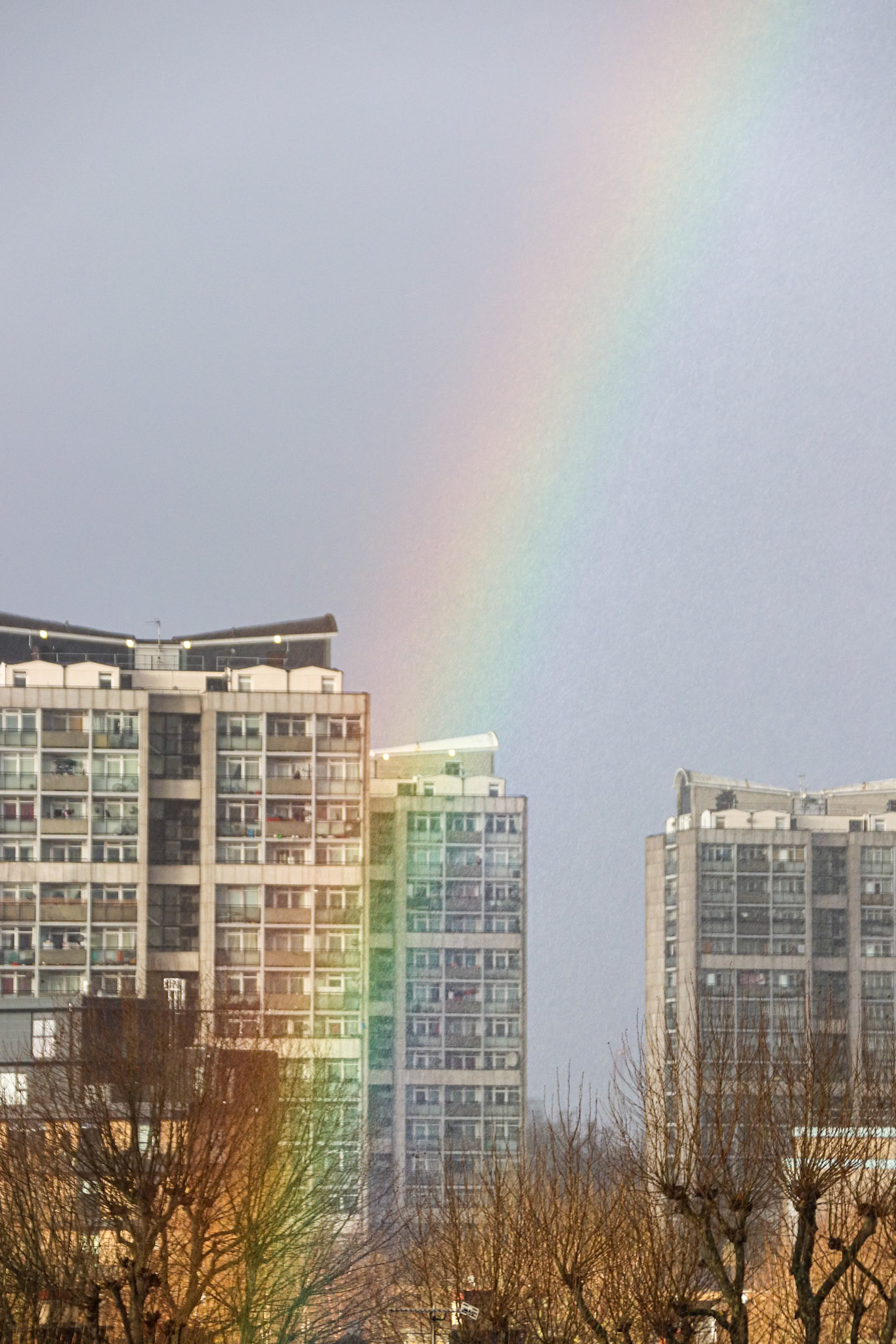 004/365 Rainbows over Brandon