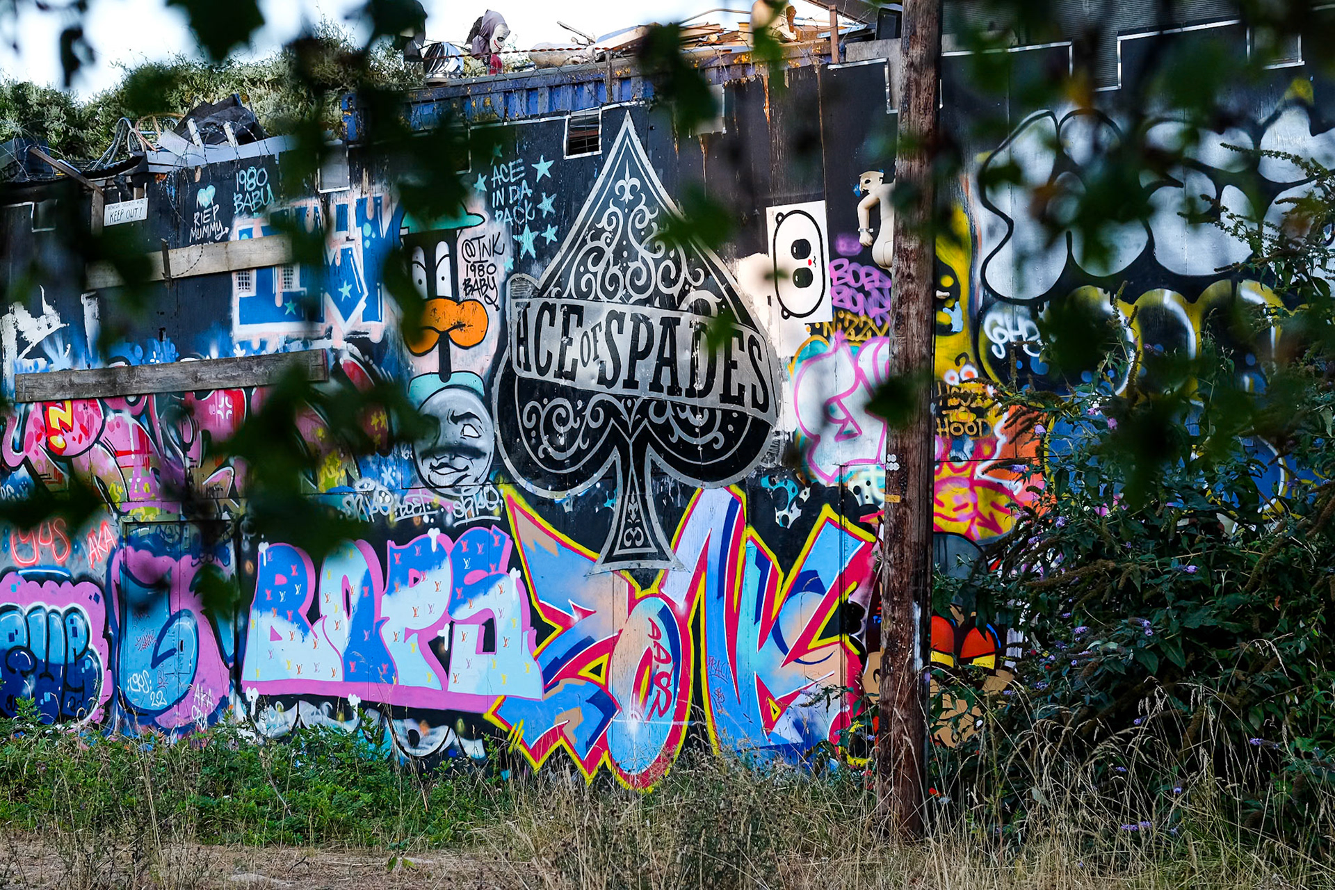 220/365 Ace of spades